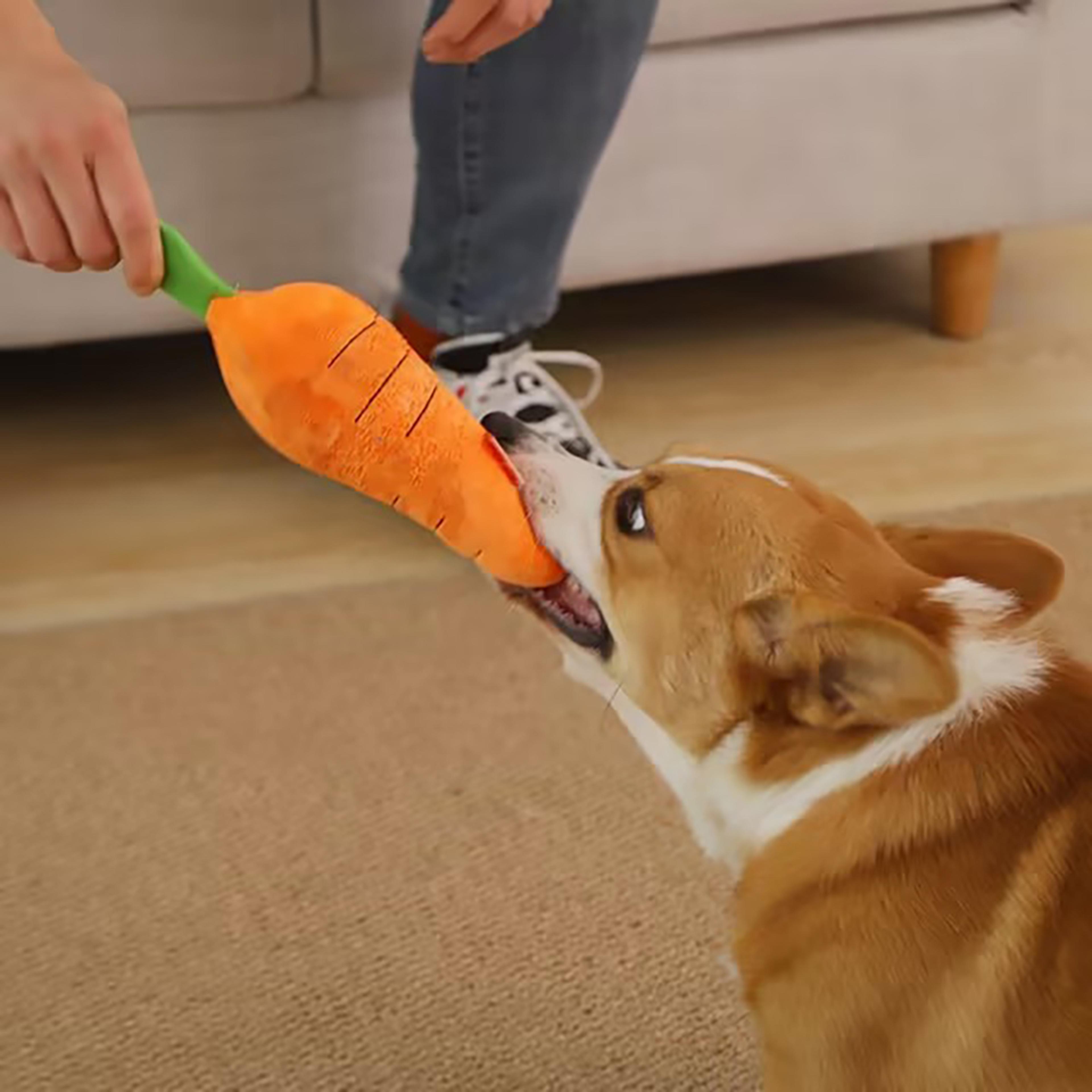 FbD0Madden-Dog-Toy-Pet-Carrot-Plush-Toy-Vegetable-Chew-Toy-for-Small-Medium-Large-Dogs-Pet.jpg
