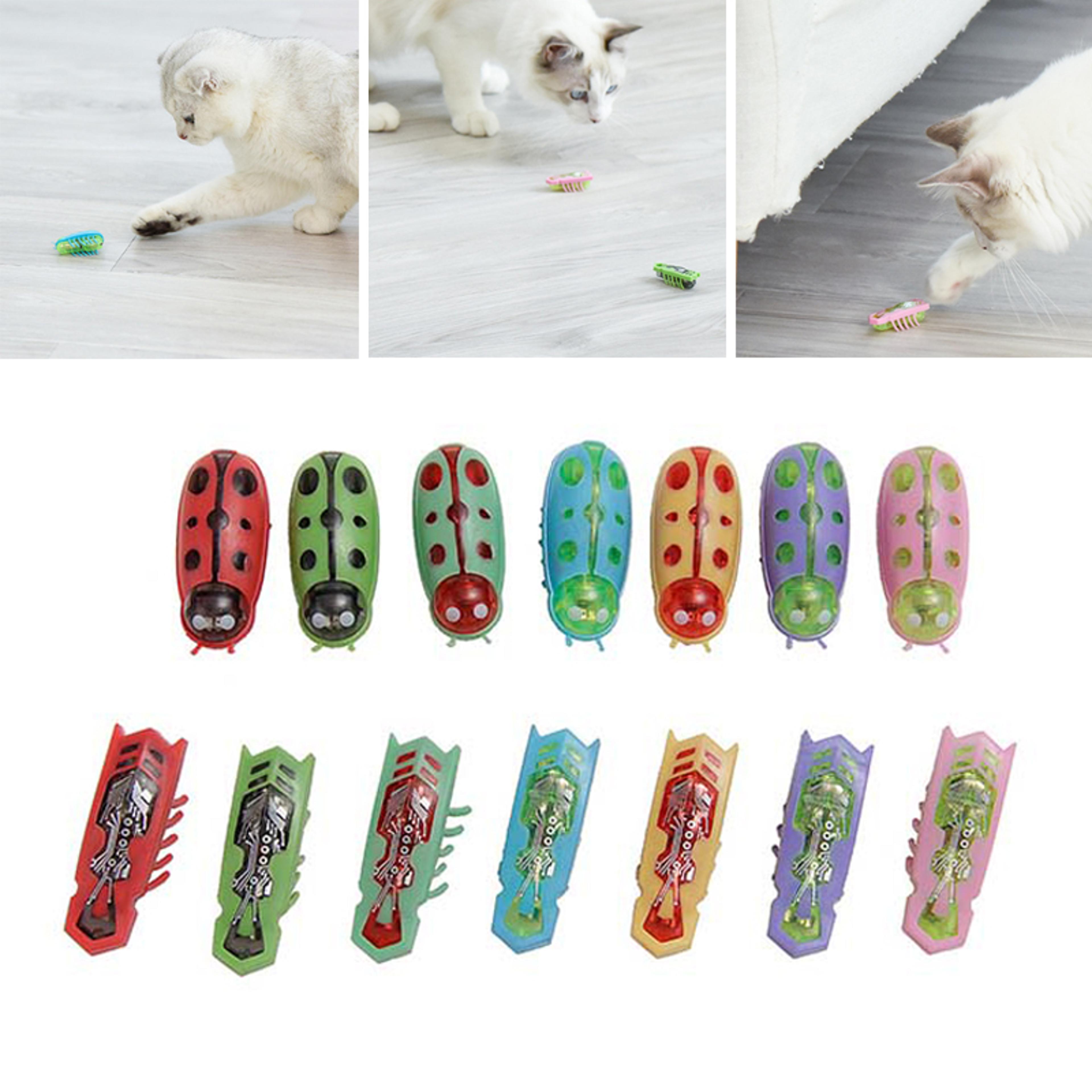 dTBsPet-Interactive-Mini-Electric-Bug-Cat-Toy-Cat-Escape-Obstacle-Automatic-Flip-Toy-Battery-Operated-Vibration.jpg