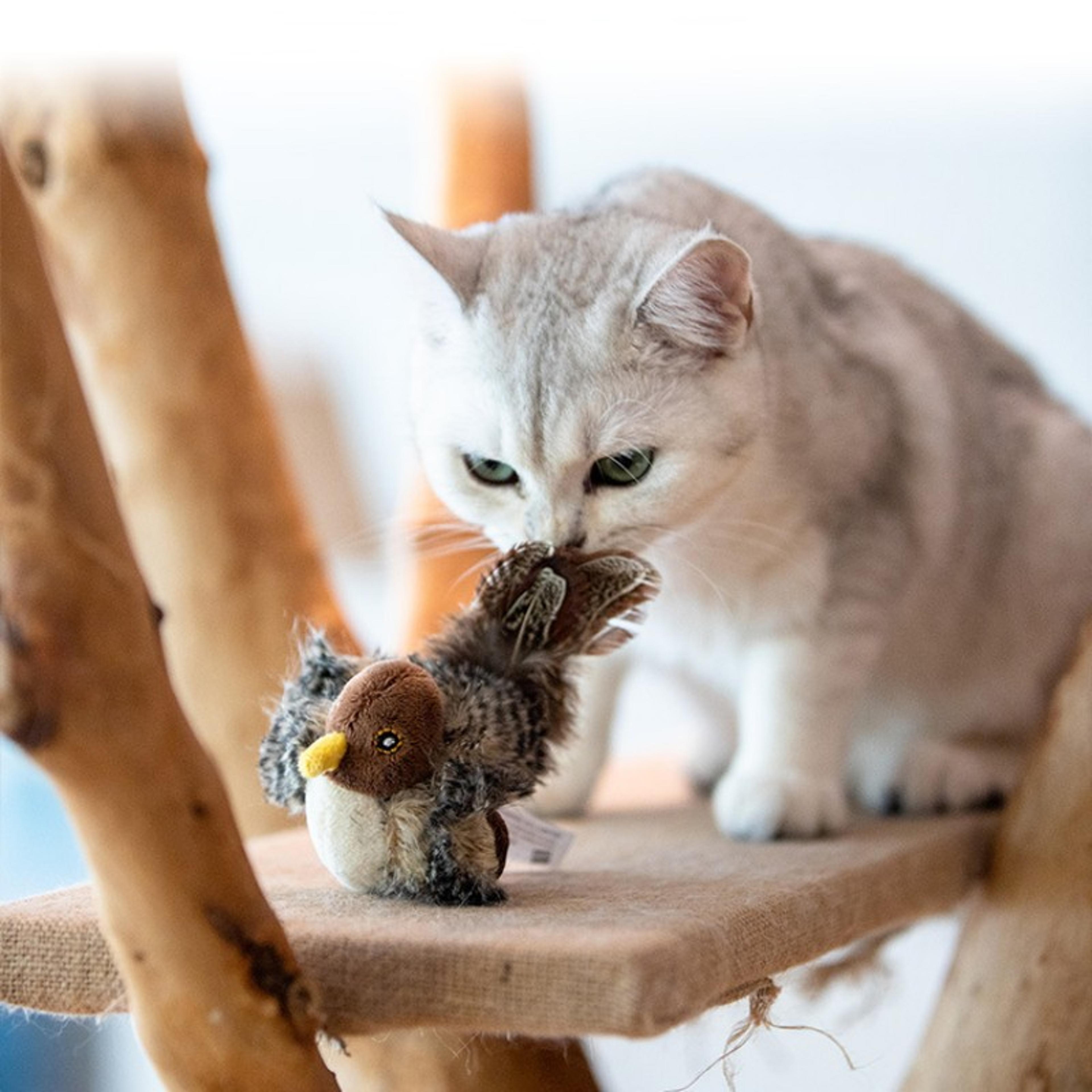 bVFEPetCatToySparrowInsectsMouseShapedBirdSimulationSoundOftStuffedToyPetInteractiveS