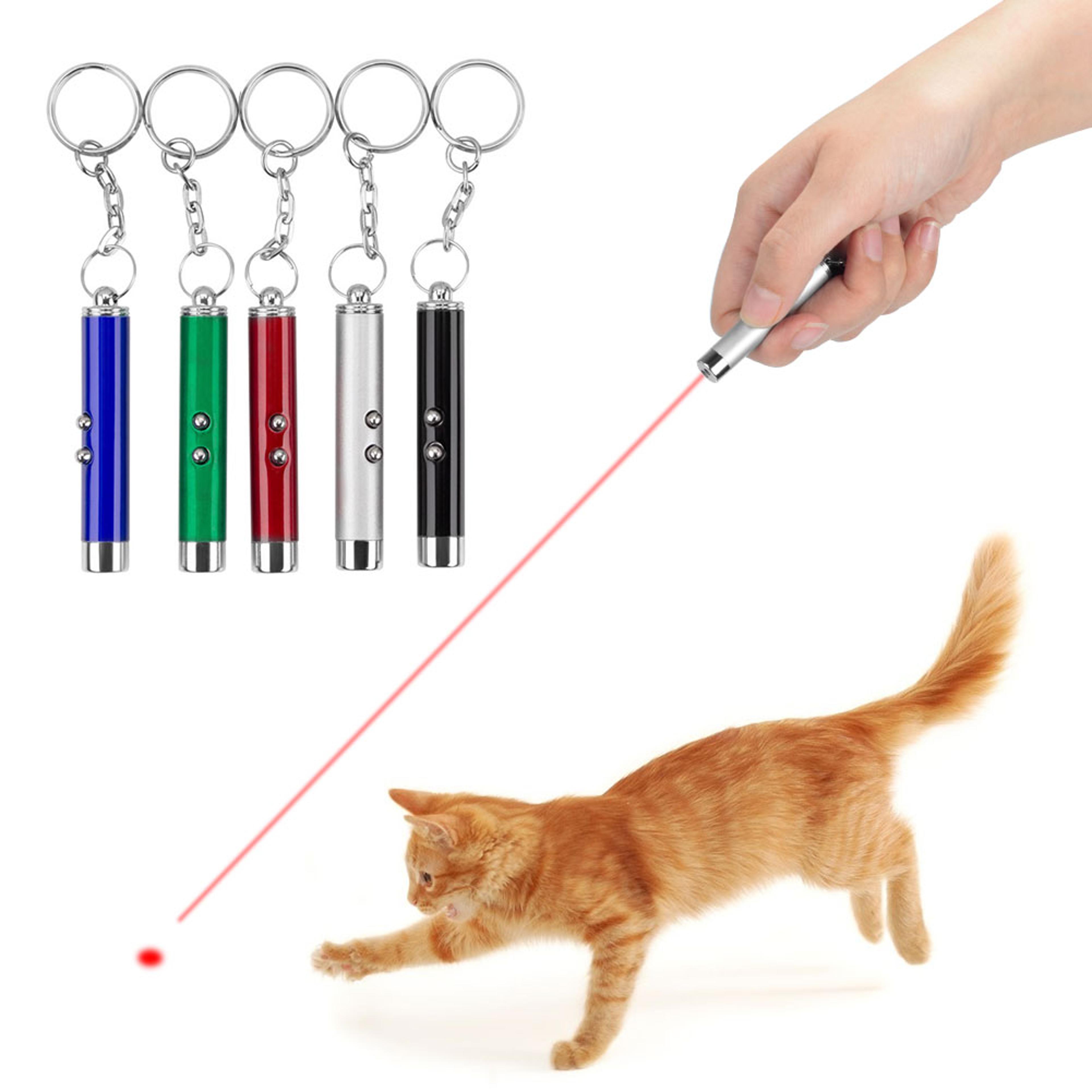 IpCEMini-Cat-Keychain-Fun-Pointer-With-battery-Light-Portable-Laser-pointer-LED-Training-Torch-Pet-Cat.jpg