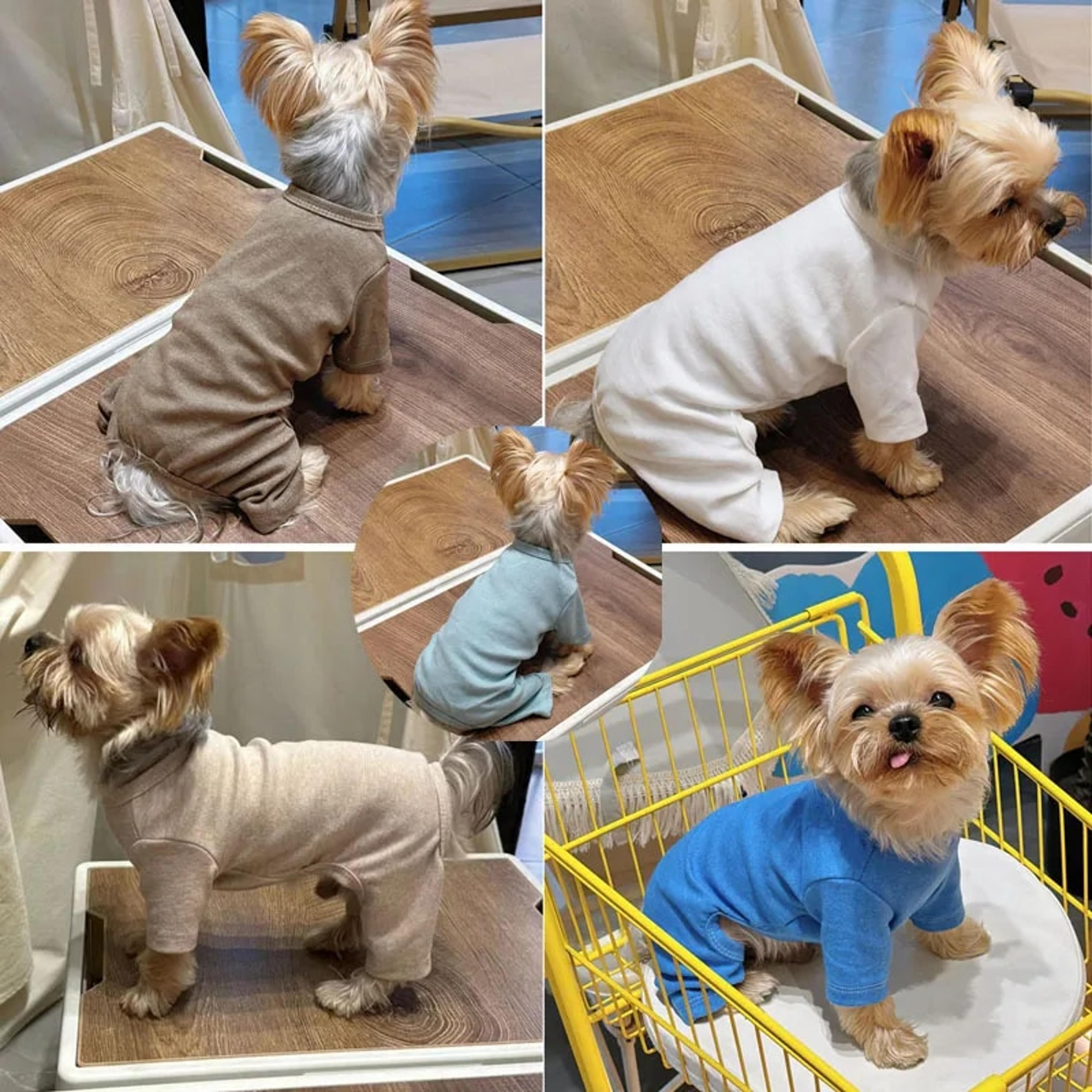 K6v4Pure-Cotton-Dog-Clothes-5-Colors-Boy-Girl-Dog-Pajamas-Onesies-For-Small-Medium-Dogs-Puppy.jpg