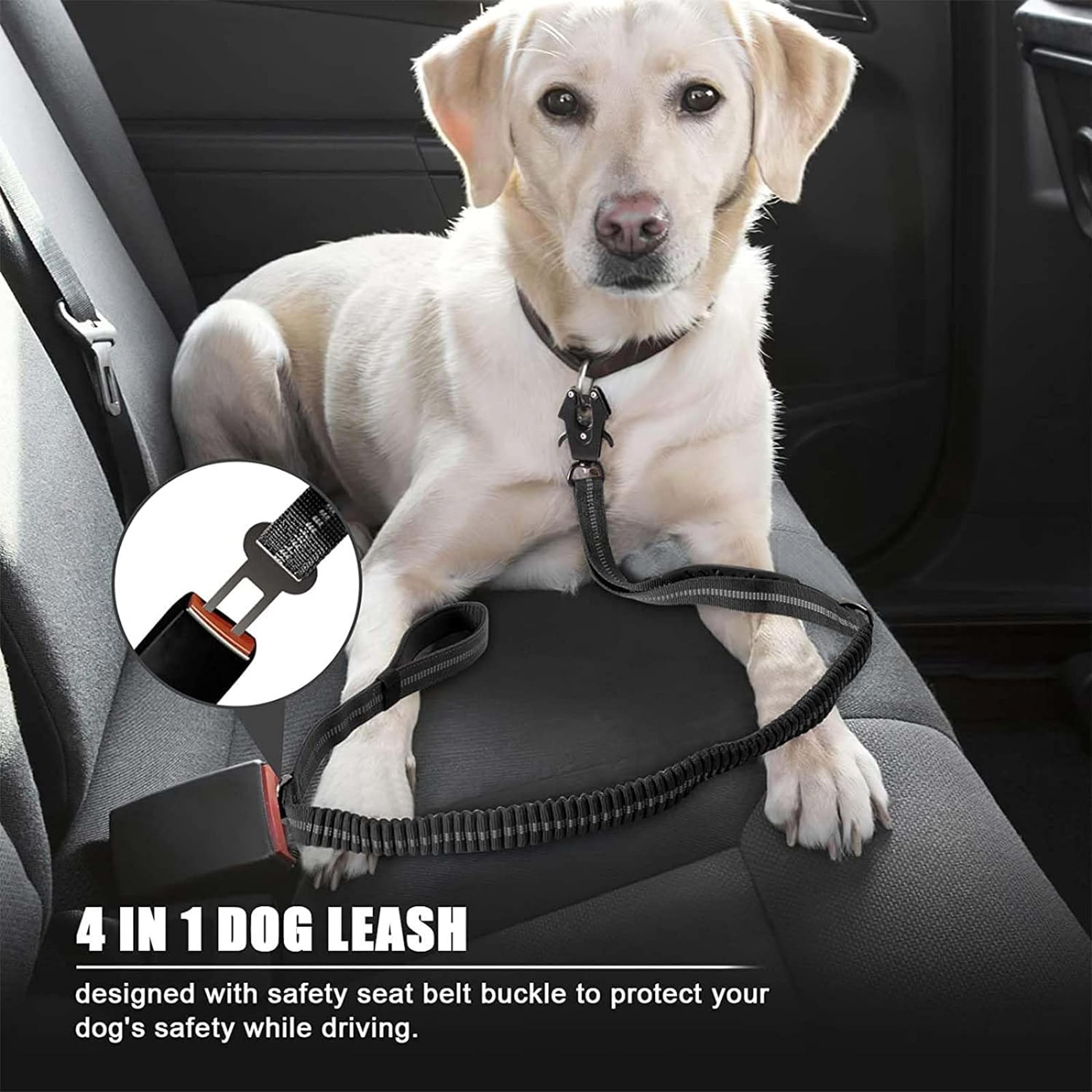 Heavy Duty Tactical Dog Leash Reflective ShockAbsorbing Bungee Leash for Large Dogs  NoPull  C