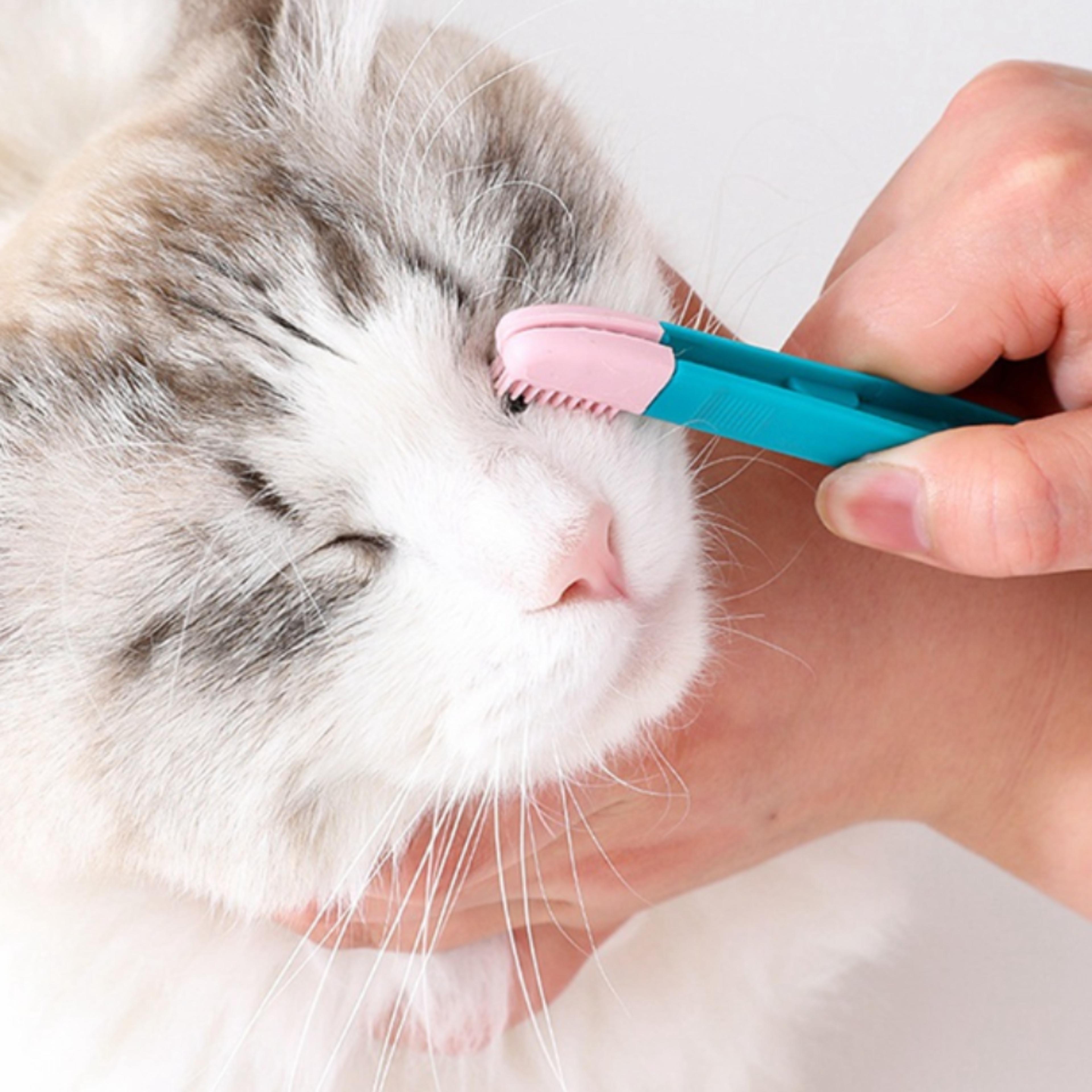 Pet Grooming Comb Tear Stain Remover  Eye Cleaning Brush For Small Cats  Dogs 0