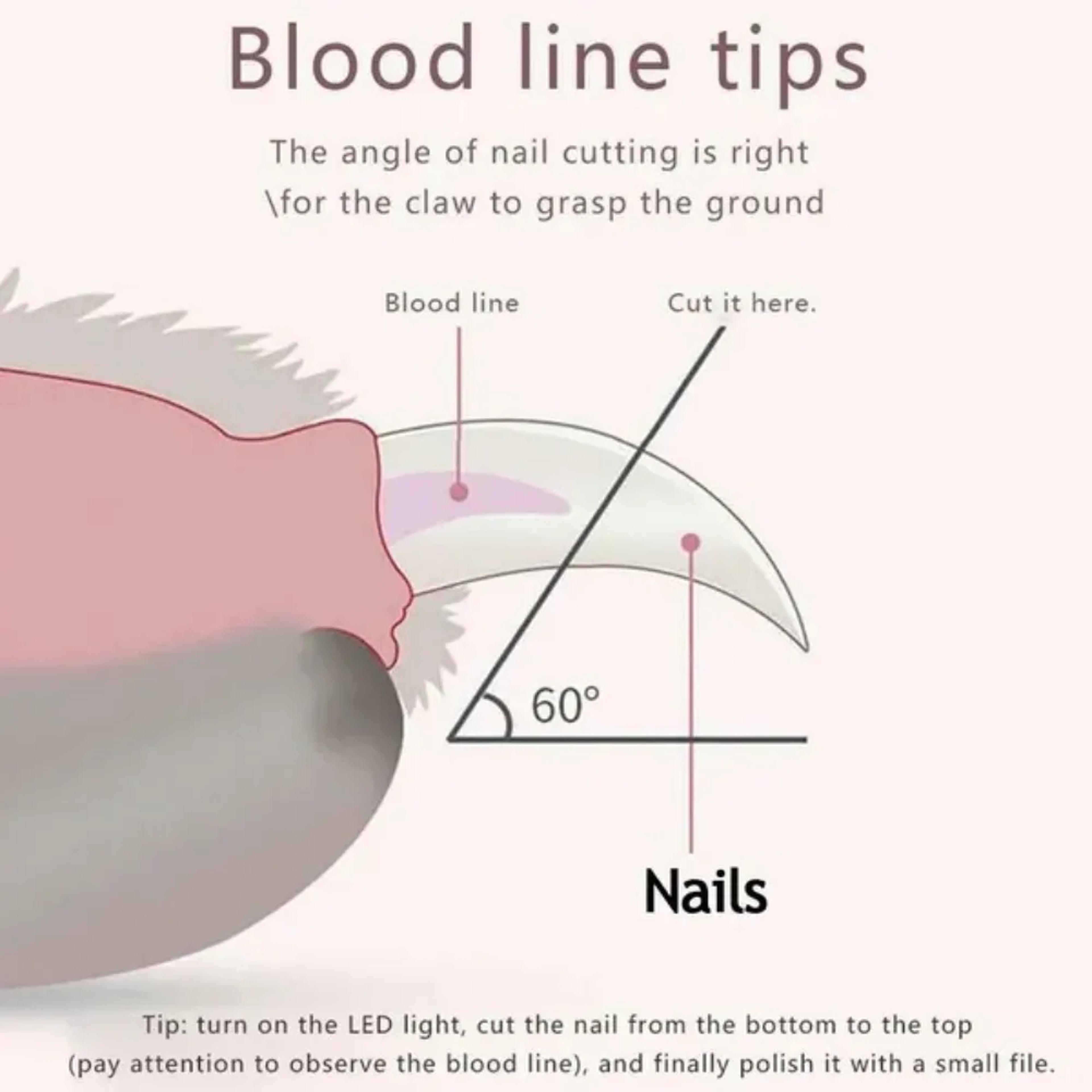 Premium LED Pet Nail Clippers For Dogs  Cats Safe Grooming Trimmer 2
