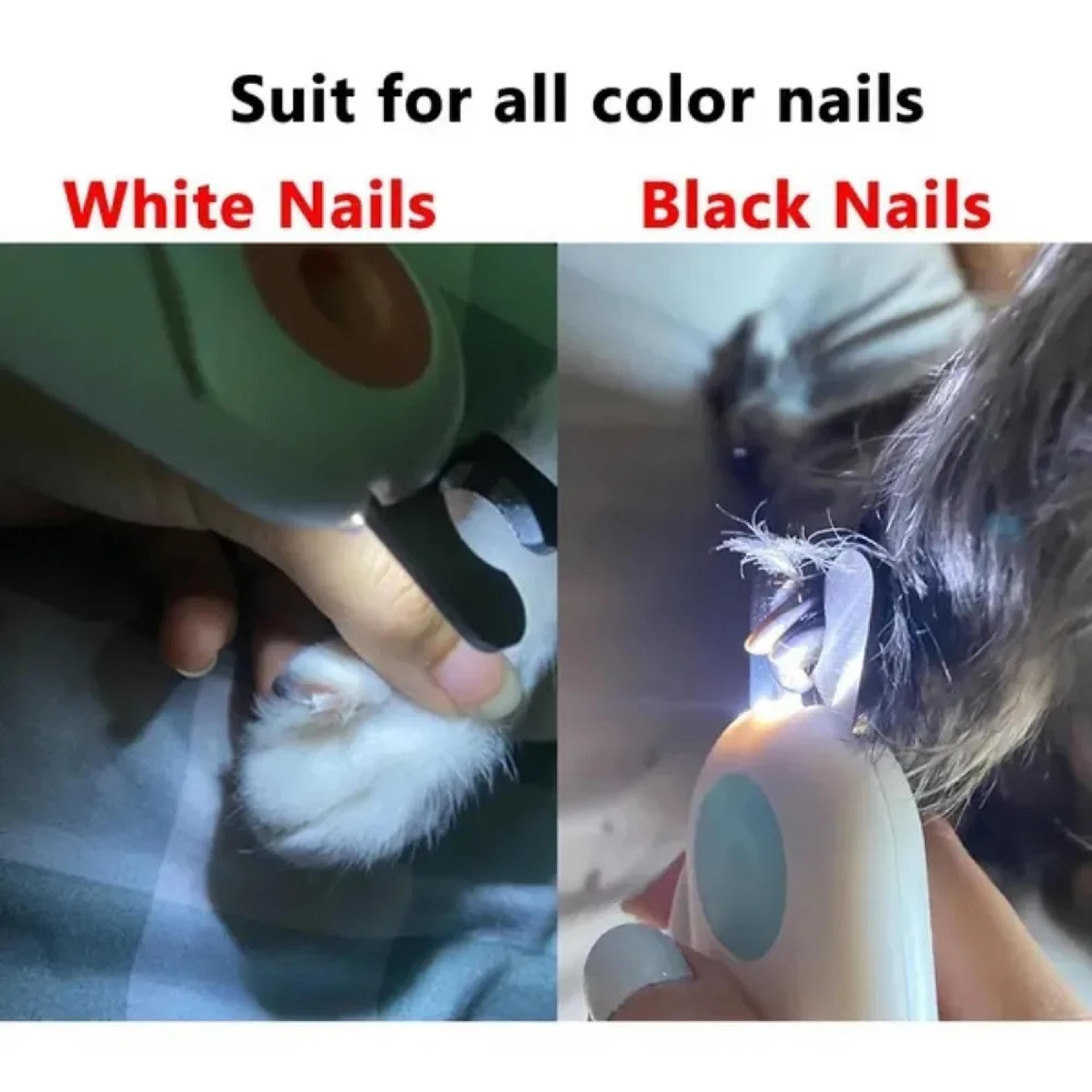 Premium LED Pet Nail Clippers For Dogs  Cats Safe Grooming Trimmer 3