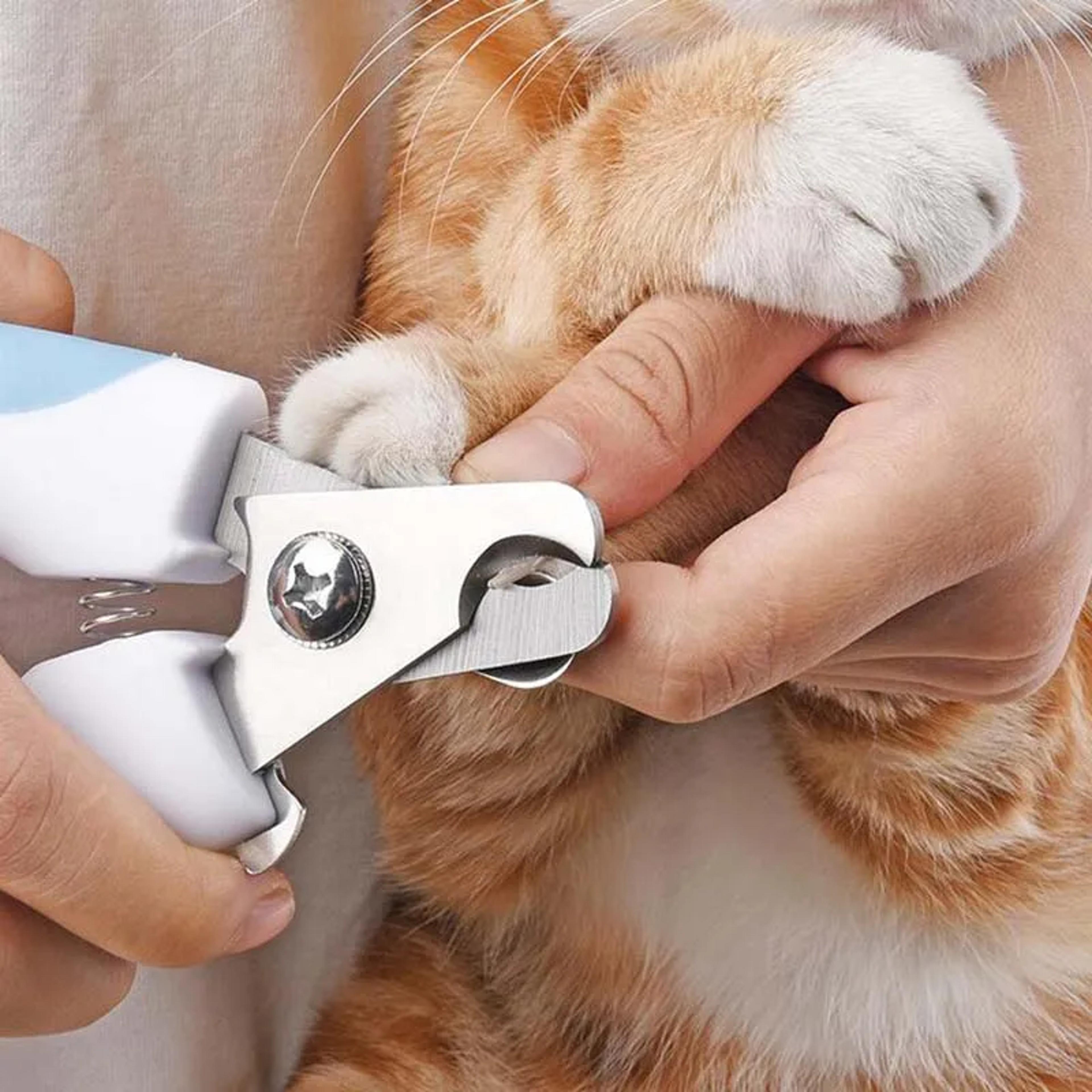 premium dog and cat nail clippers stainless steel nail cutter & pet nail trimmer