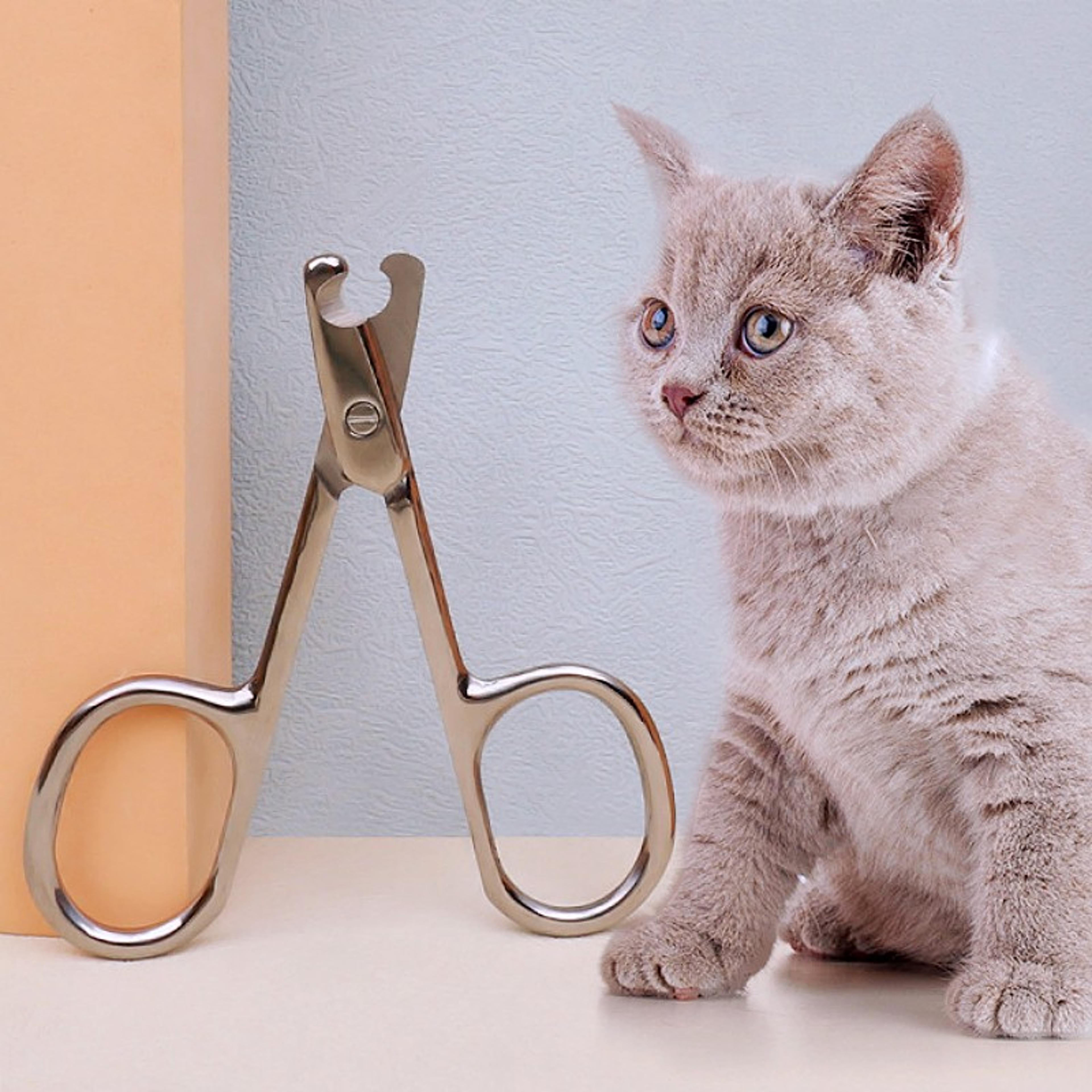 Precision Stainless Steel Dog Nail Clippers  Cat Nail Clipper For Smooth Paw Grooming 2