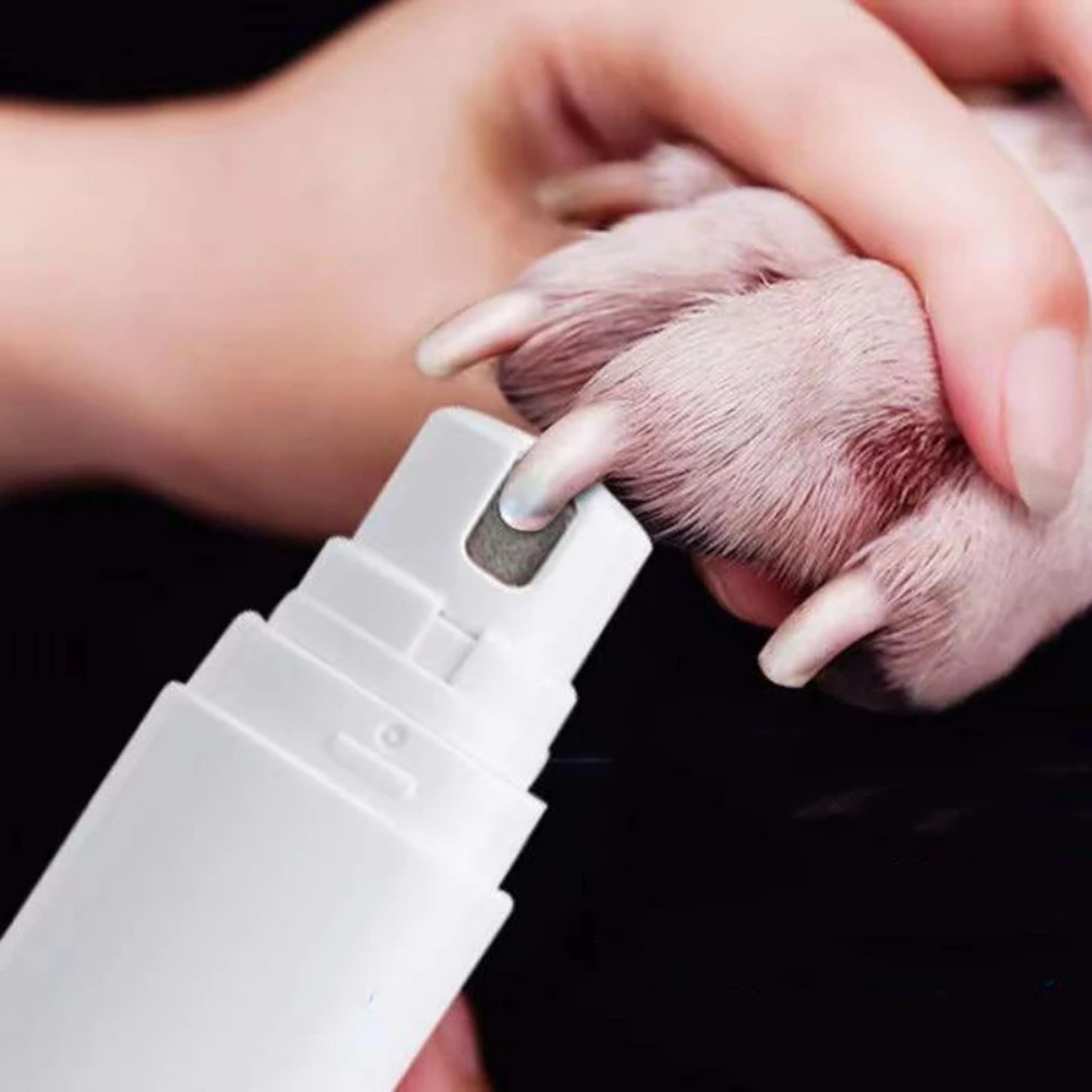 professional electric dog nail grinder with ultra bright led light