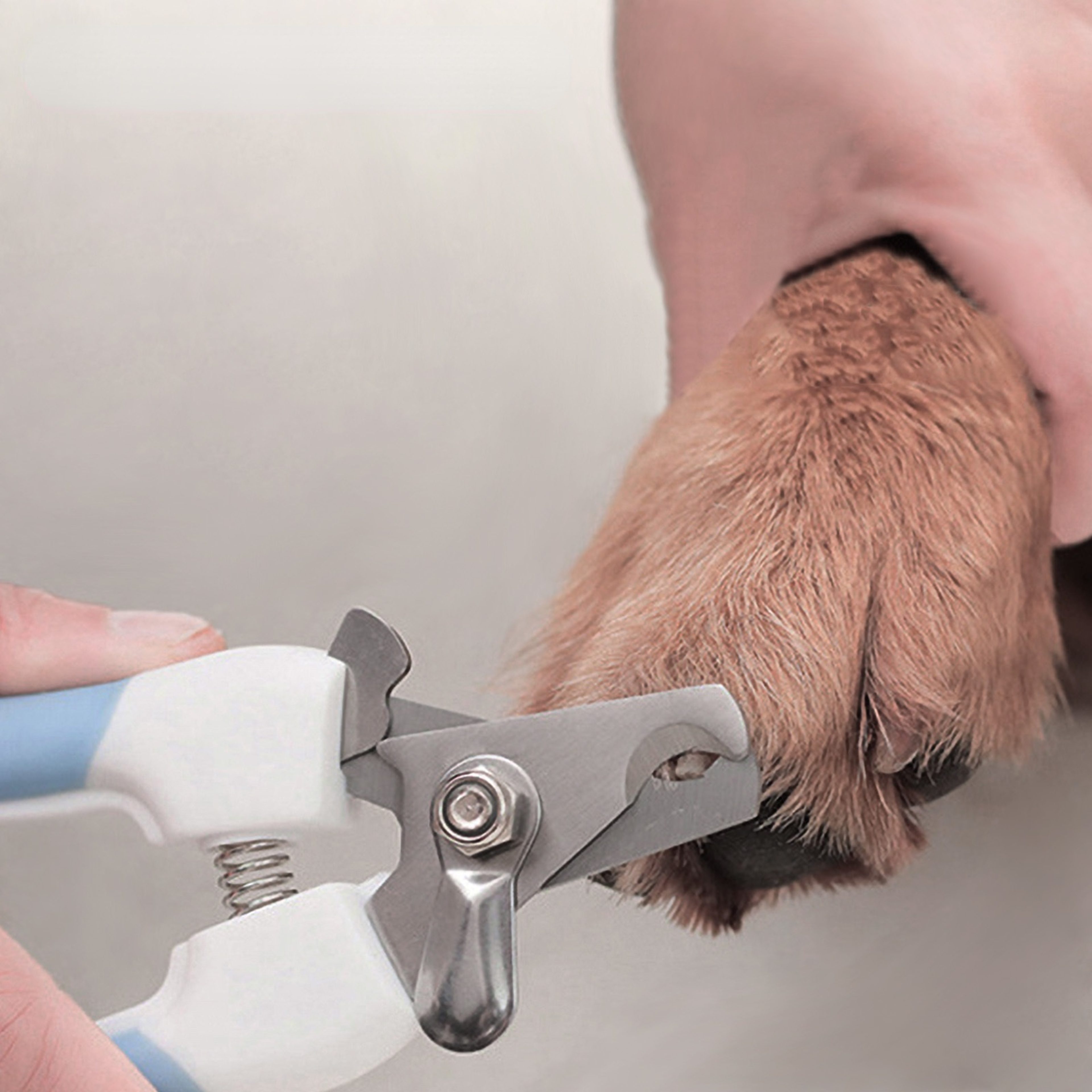 Professional Pet Dog Nail Clippers  Cat Nail Clippers Stainless Steel Grooming Tool 2