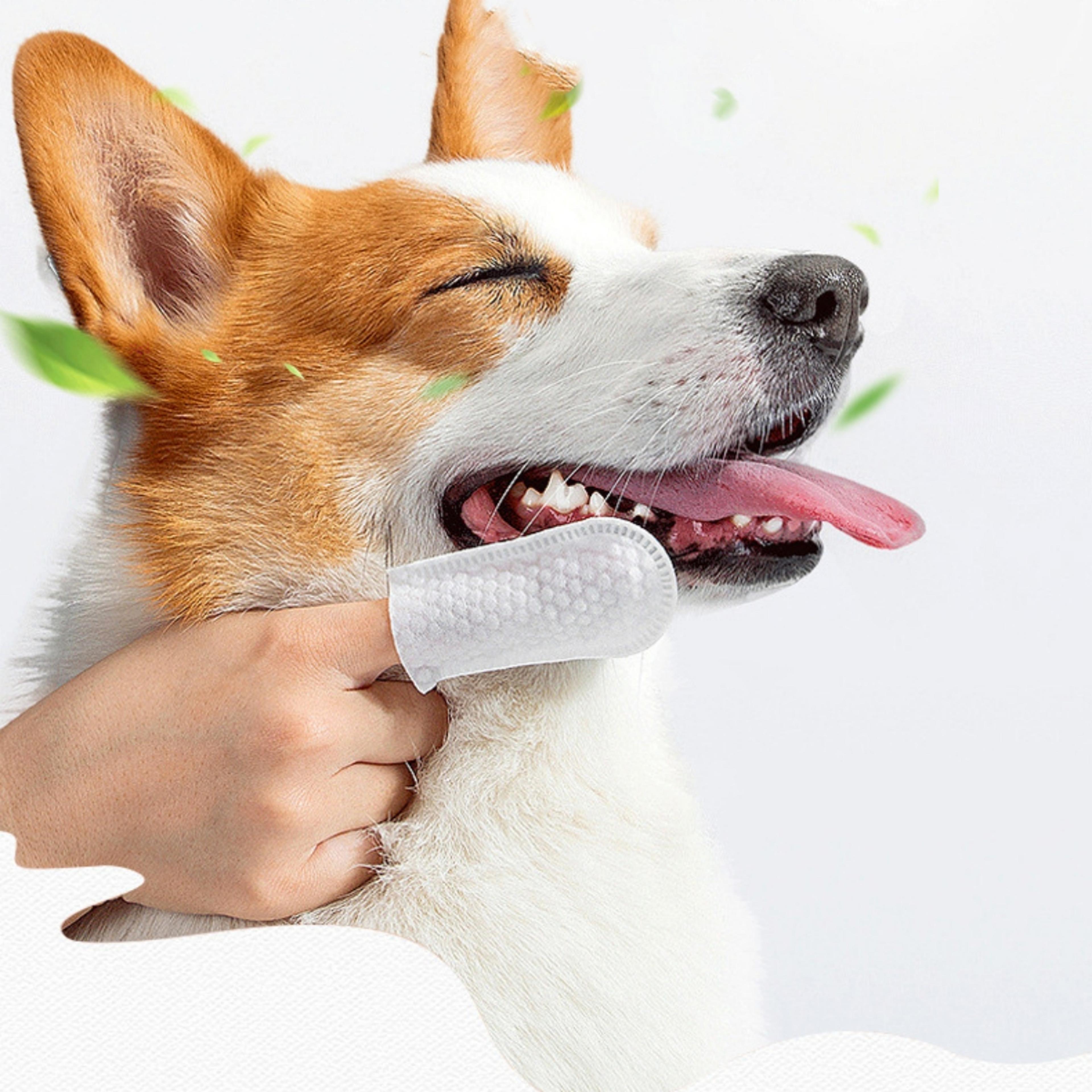 Disposable Pet Finger Wipes For Dogs  Cats Teeth Ear  Eye Cleaning Finger Cots 1