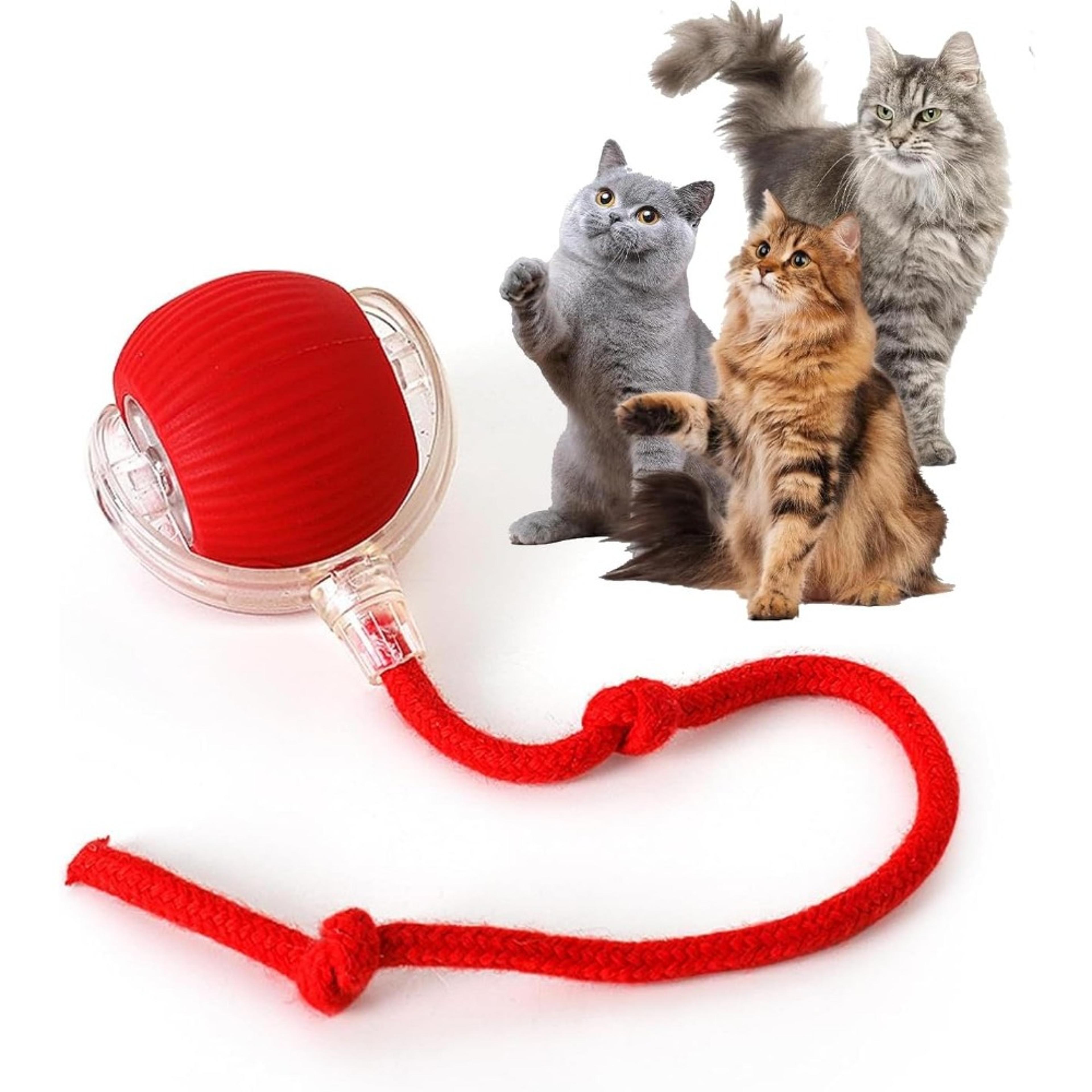 Smart Chase Tail Ball Interactive Cat  Dog Toy 5