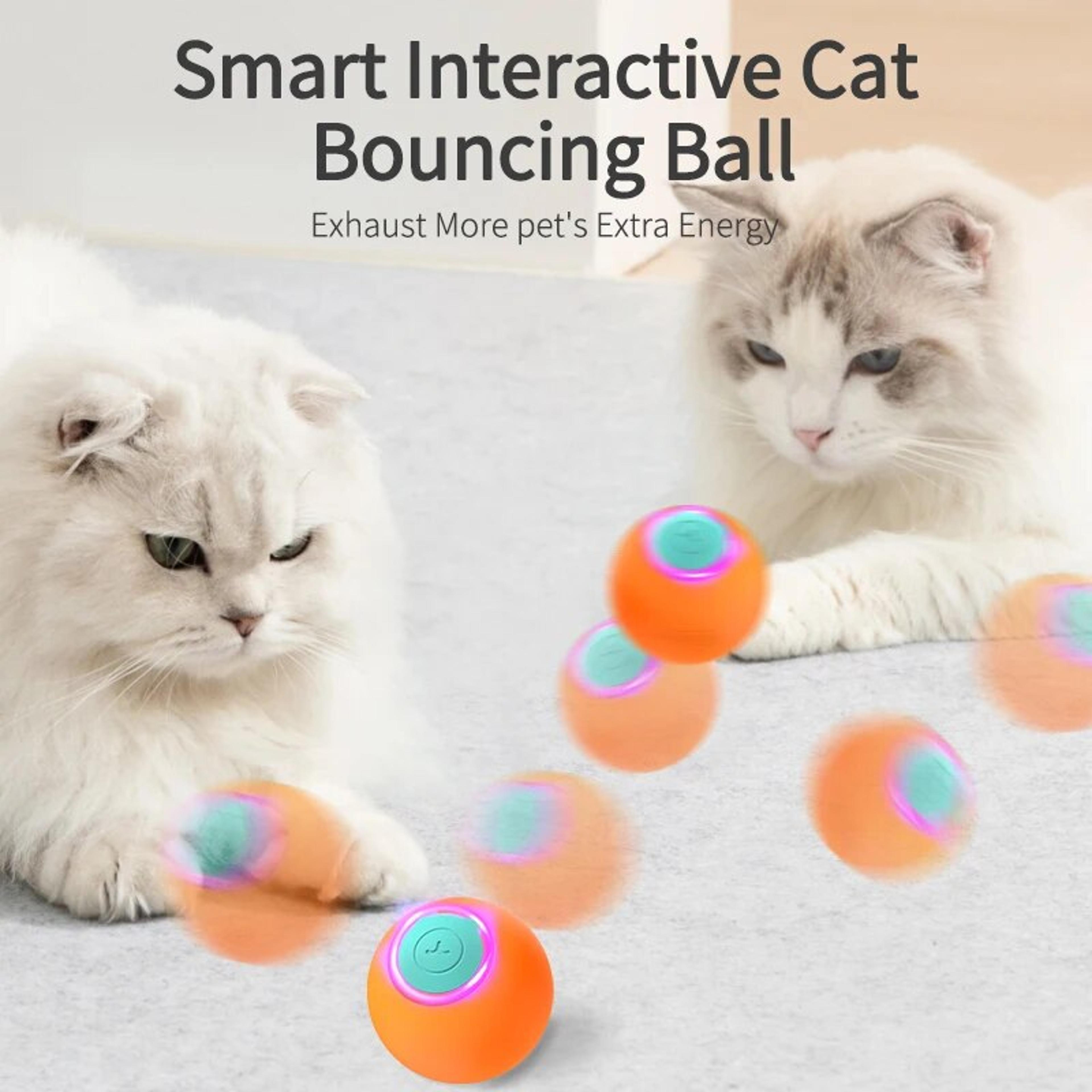 Purr Spin Interactive Rolling Ball Cat Toy For Active Indoor Cats 4