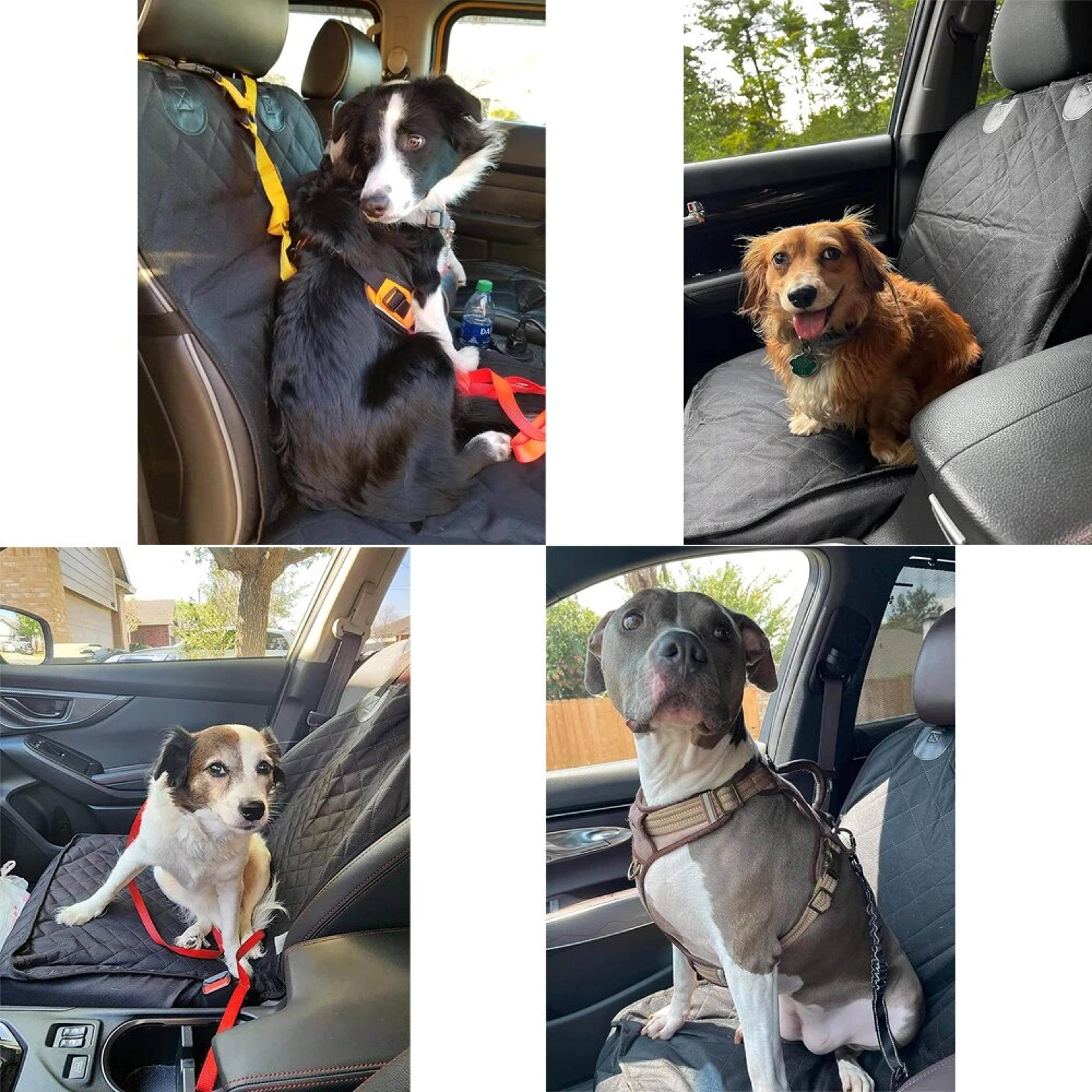 hF6aDog-Car-Seat-Covers-100-Waterproof-Pet-Cat-Dog-Carrier-Mat-Seat-Cover-for-Cars-Trucks.jpg