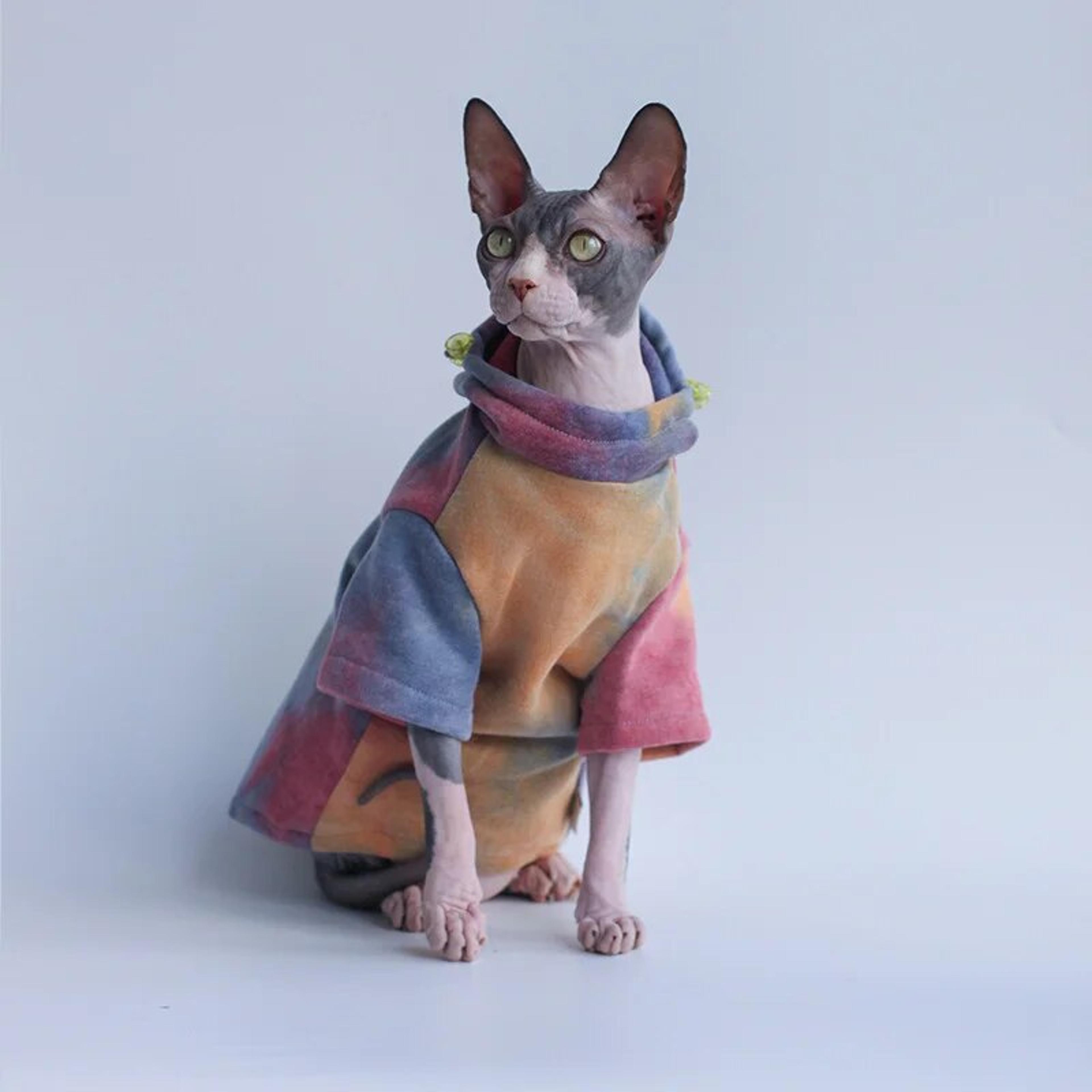ZPTsSphynx-Cat-Clothes-Autumn-Winter-Fashion-Luxury-Dog-Cat-Hoodie-New-Arrival-Pet-Sphinx-Clothing-Cotton.jpg