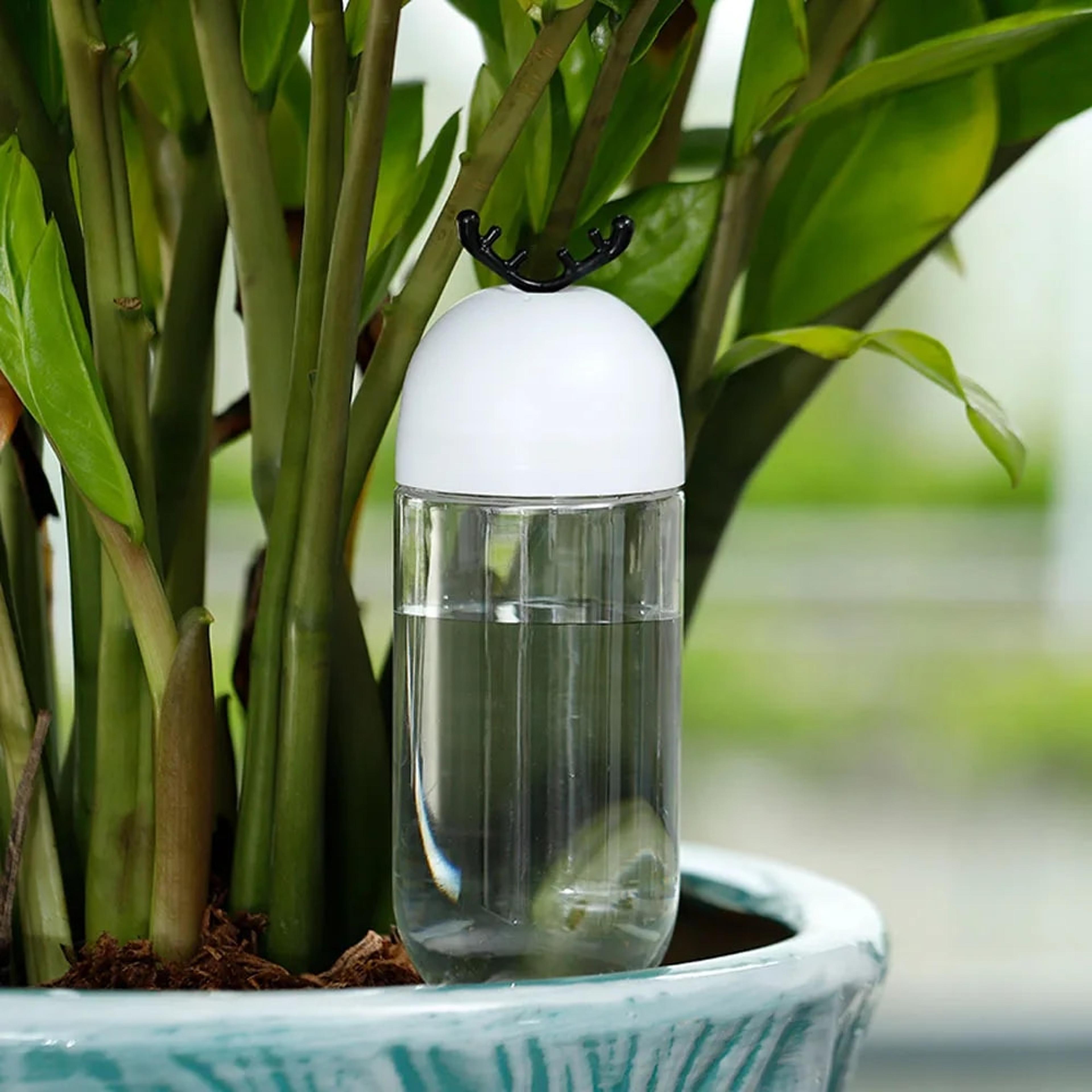 indoor drip irrigation system for elk & christmas tree potted plants