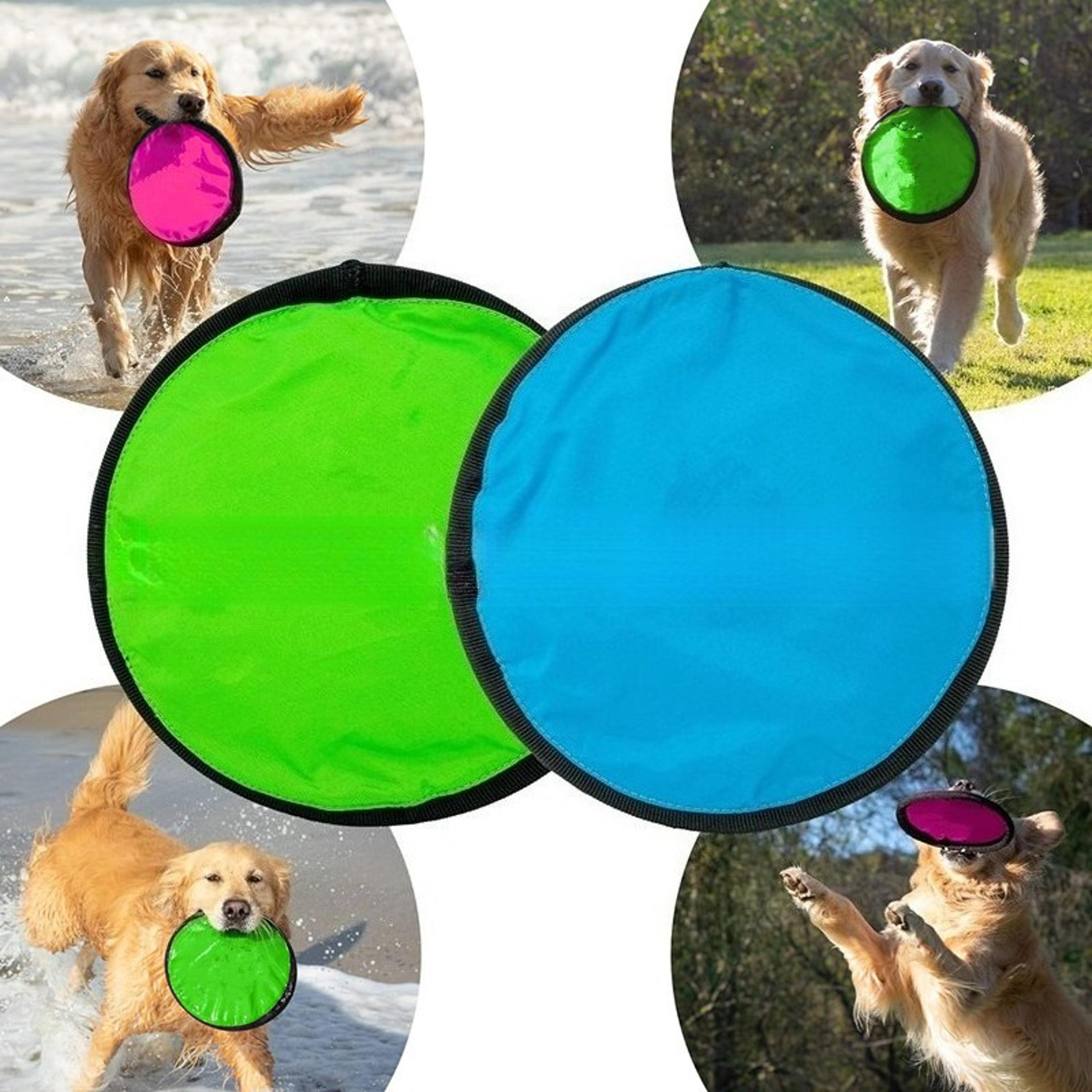 Portable Dog Training Flying Disc Breathable  Easy To Clean Interactive Training Toy For Pets 3