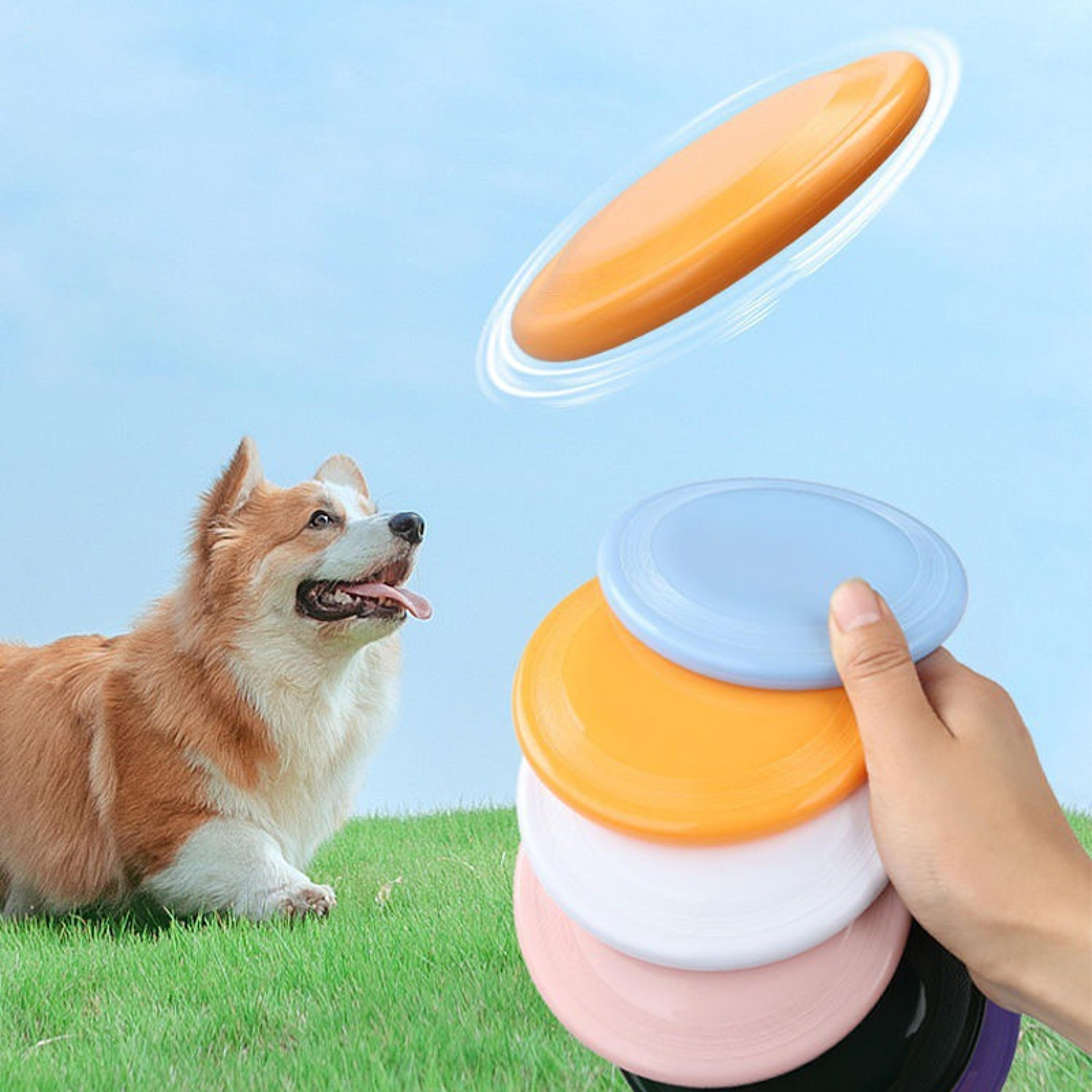 Silicone Flying Disk Toy For Dogs Durable Interactive Training Disc For Puppies  Dogs 1