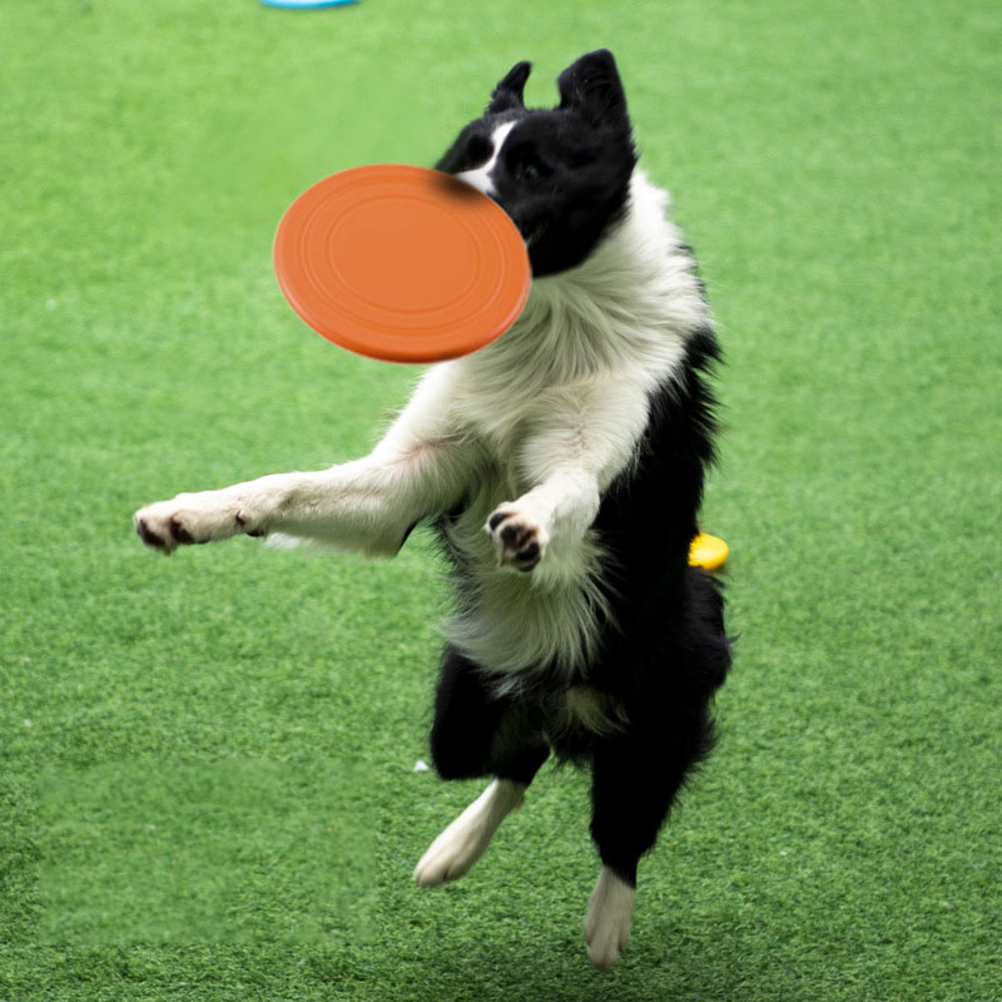 Soft Silicone Dog Flying Disc Interactive Fetch Toy For Training And Play 3