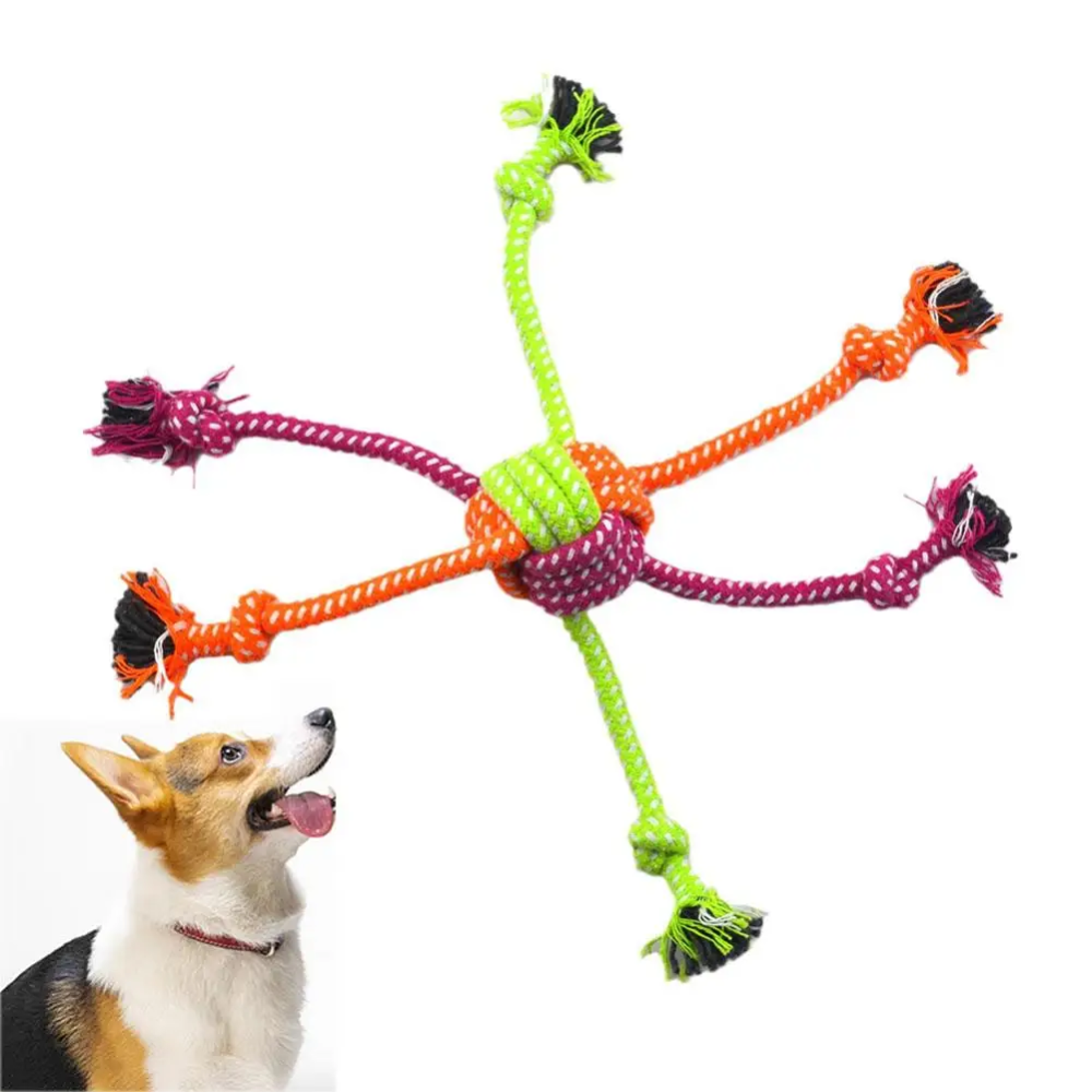 Thumbnail Image