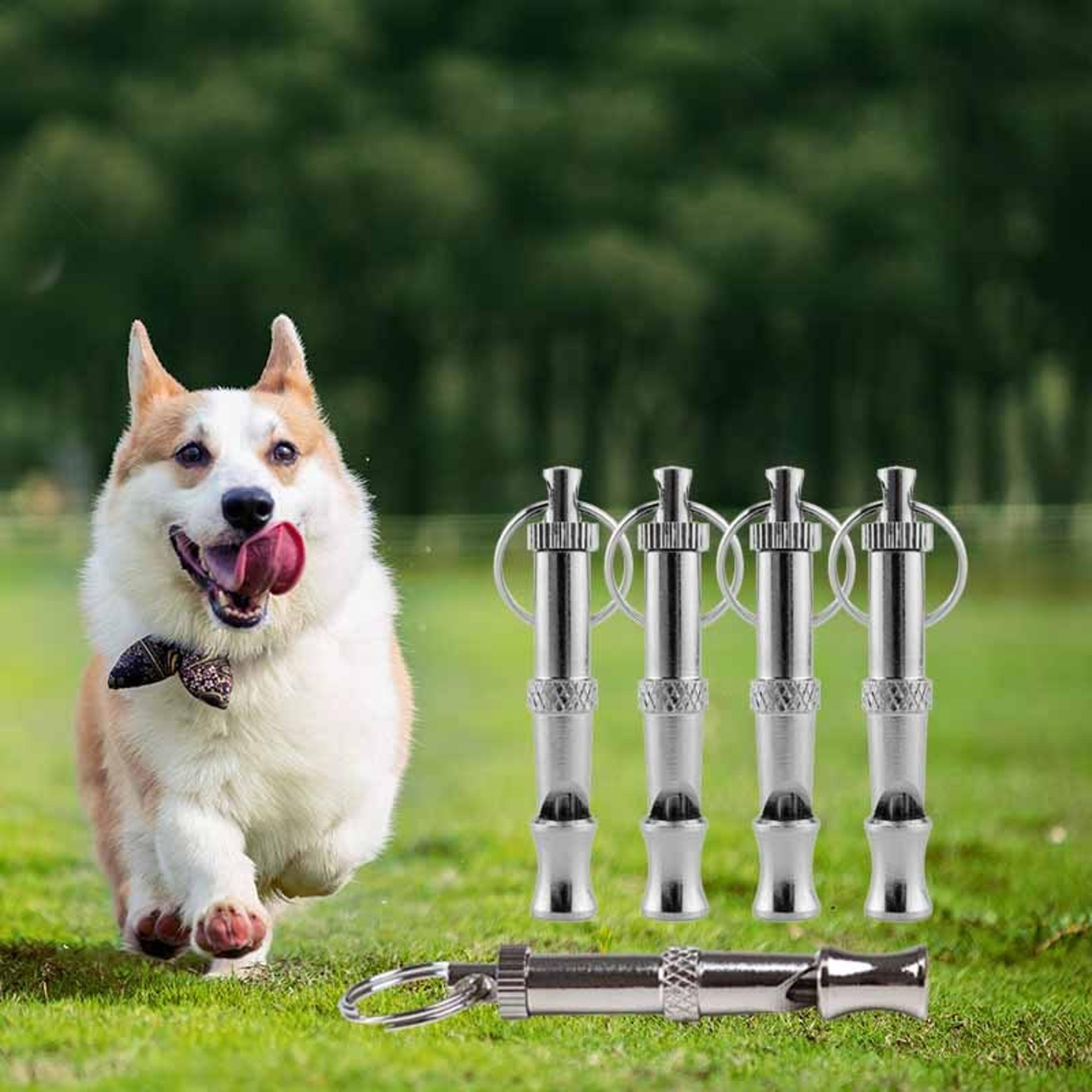 Quiet Recall Adjustable Dog Training Whistle With Keychain For Bark Control  Recall 4
