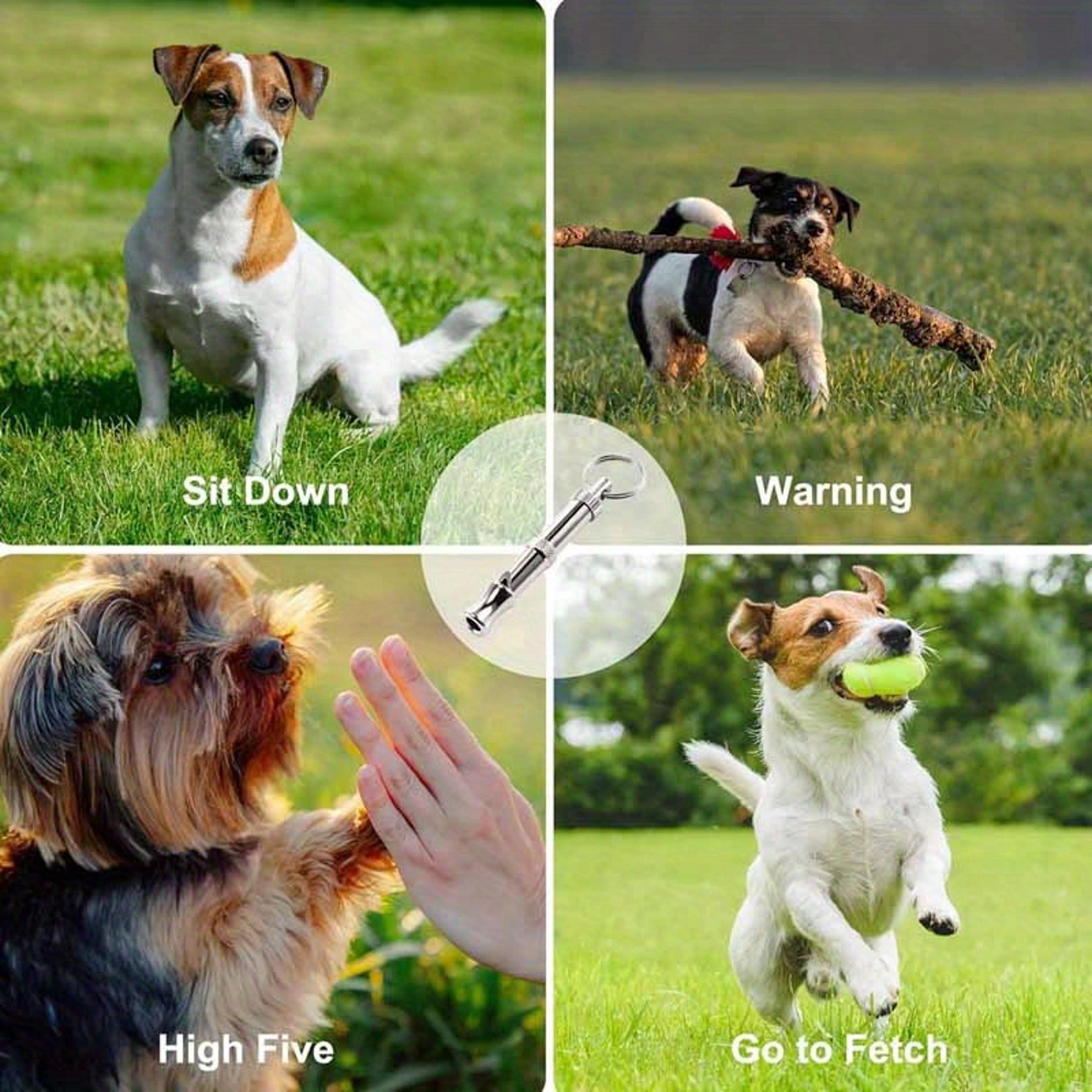 Quiet Recall Adjustable Dog Training Whistle With Keychain For Bark Control  Recall 5