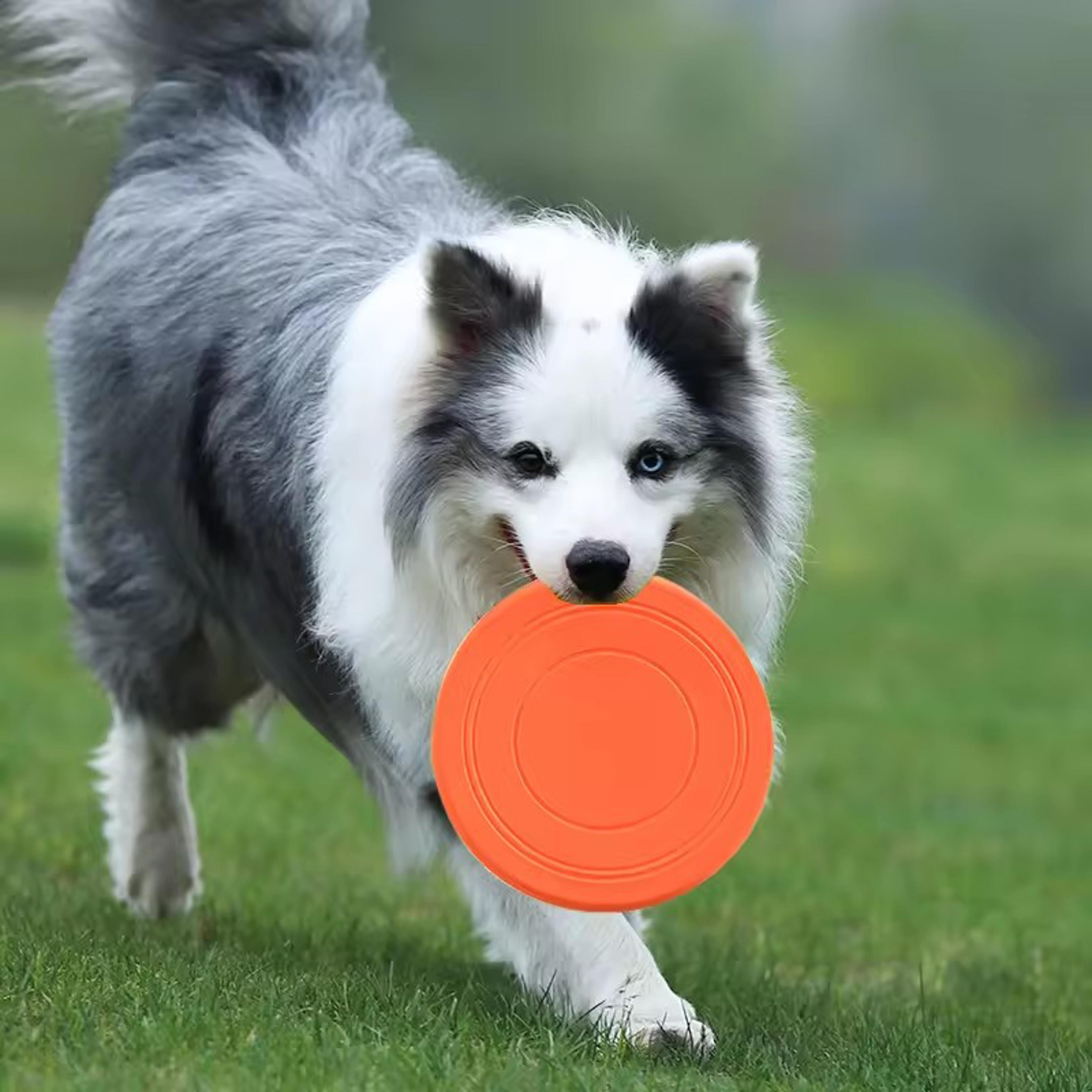 Soft Silicone Dog Flying Disc Toy For Fetch Training And Interactive Play 1