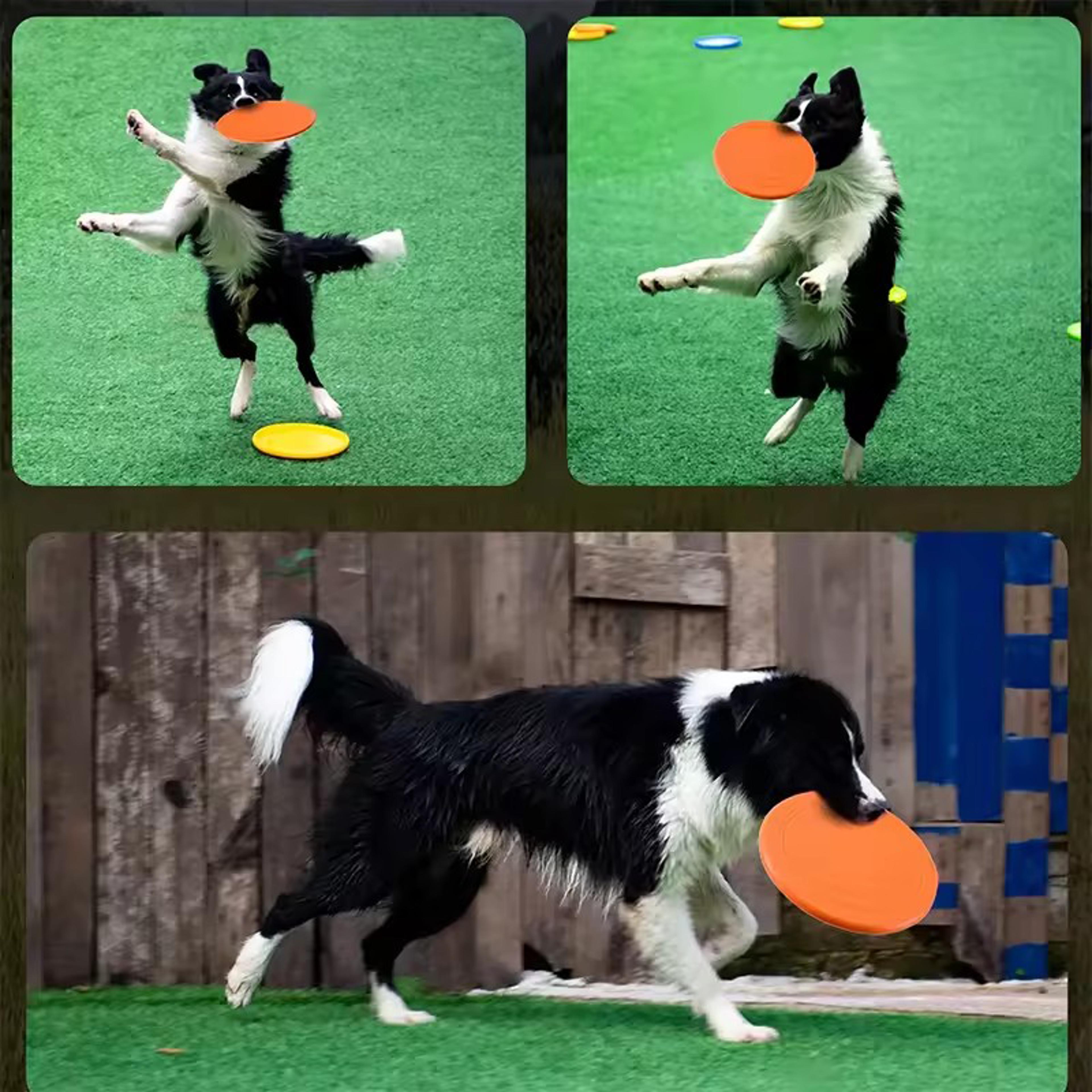 Soft Silicone Dog Flying Disc Toy For Fetch Training And Interactive Play 5