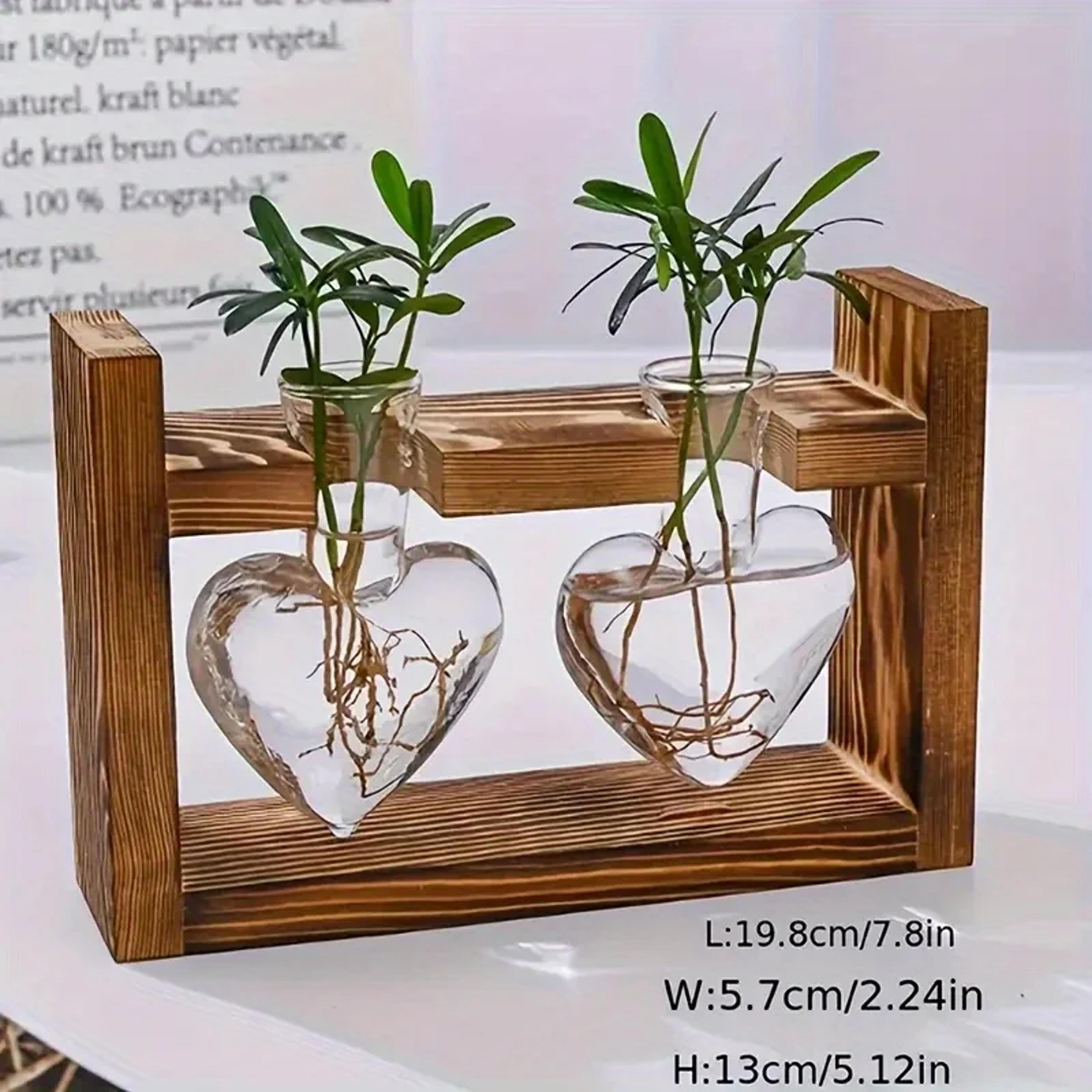 Wooden Frame Hydroponic Vase For Plant Cuttings And Desktop Decor 5