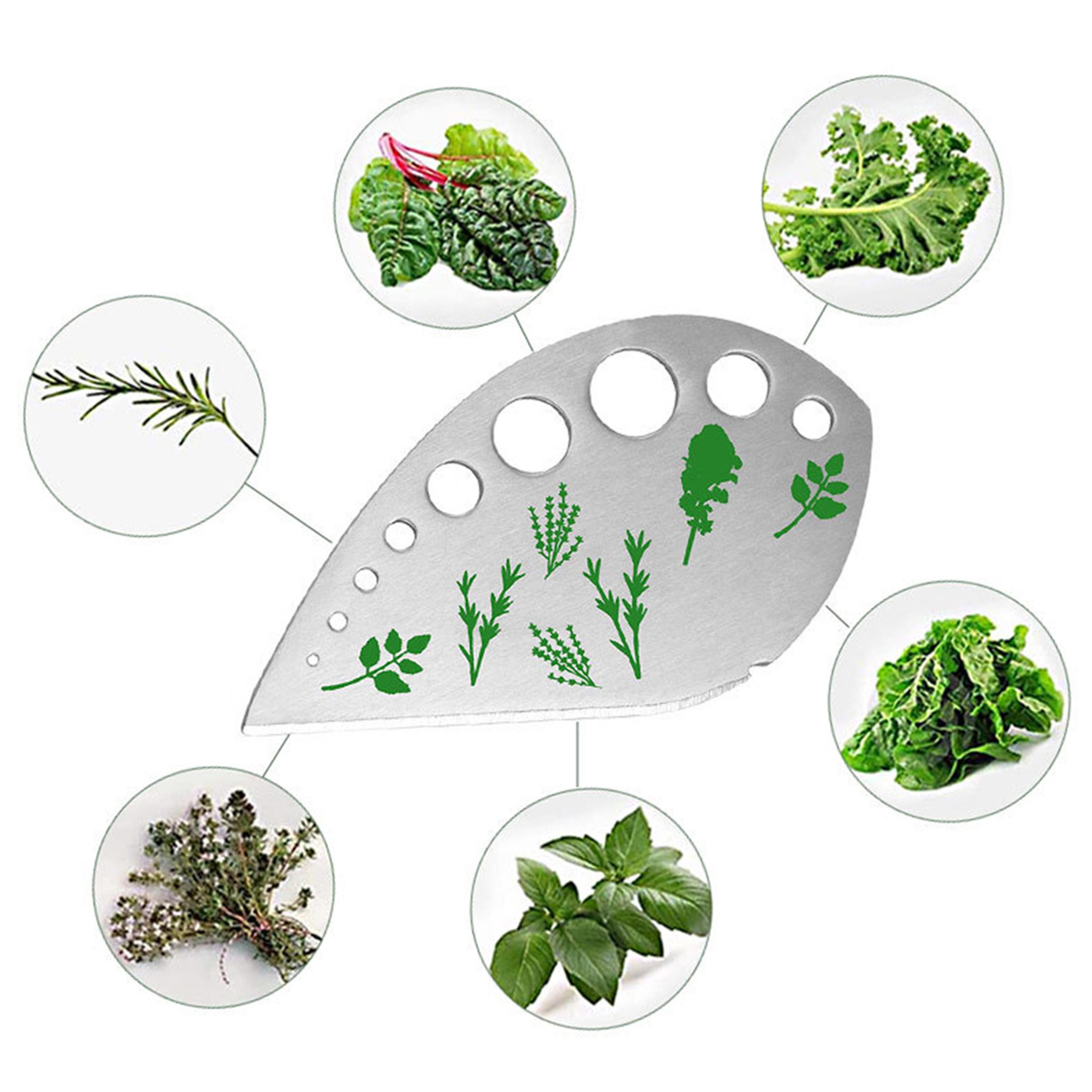 Premium Stainless Steel Vanilla Slicer  Spice Peeler Multi Purpose Kitchen Tool 2