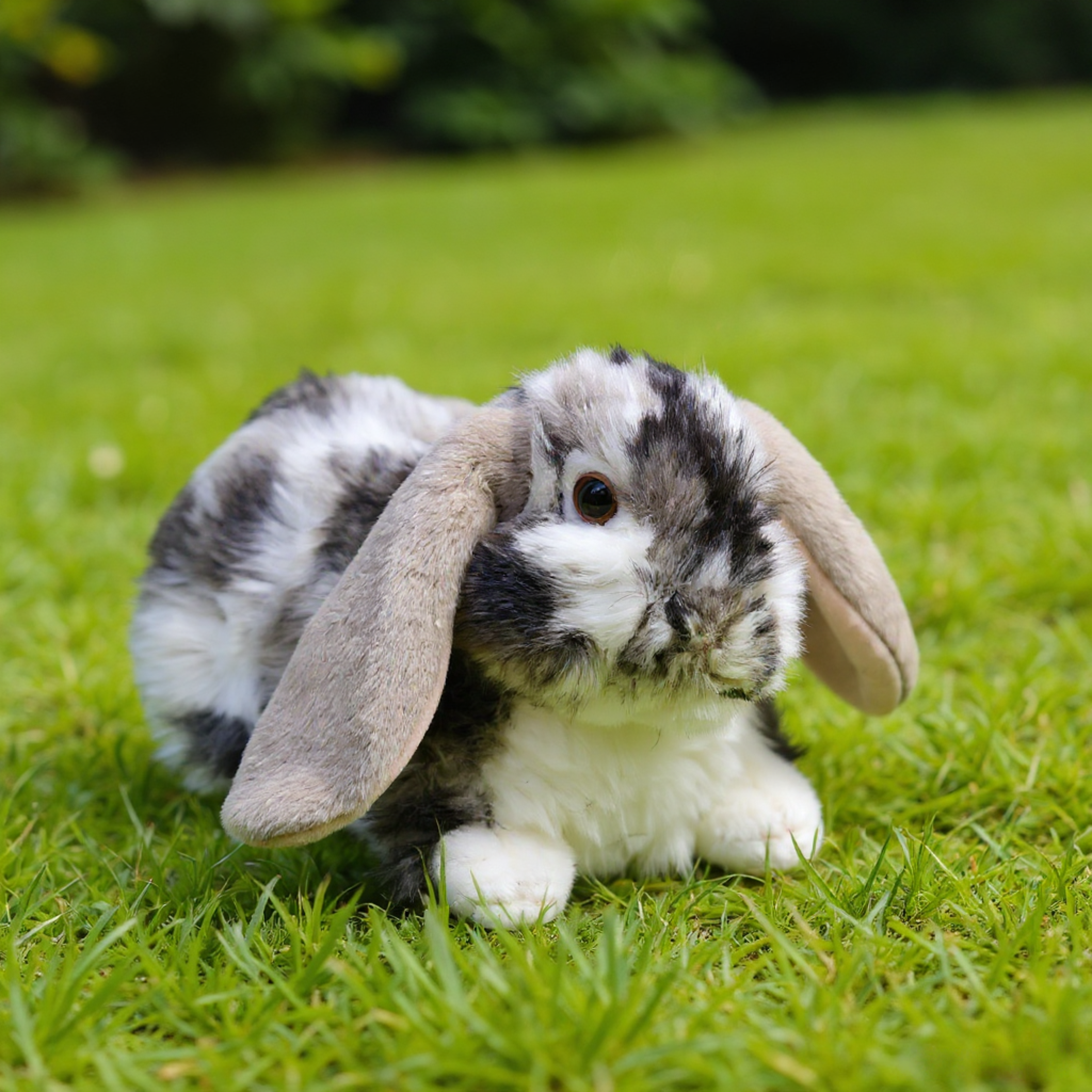 soft stuffed animal bunny plush rabbit toy for kids & home decor