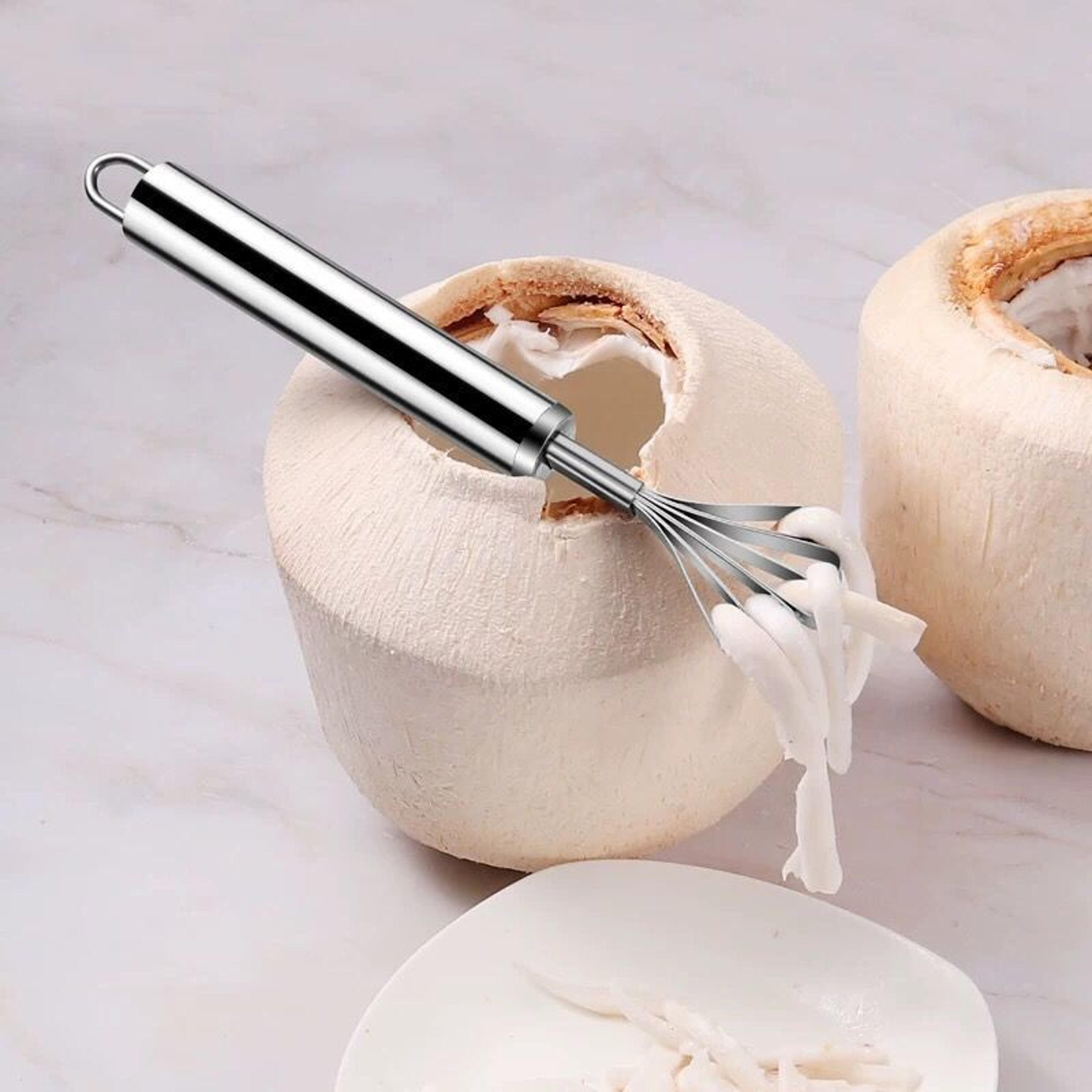 Stainless Steel Coconut  Fruit Grater Multi Purpose Kitchen Tool 1