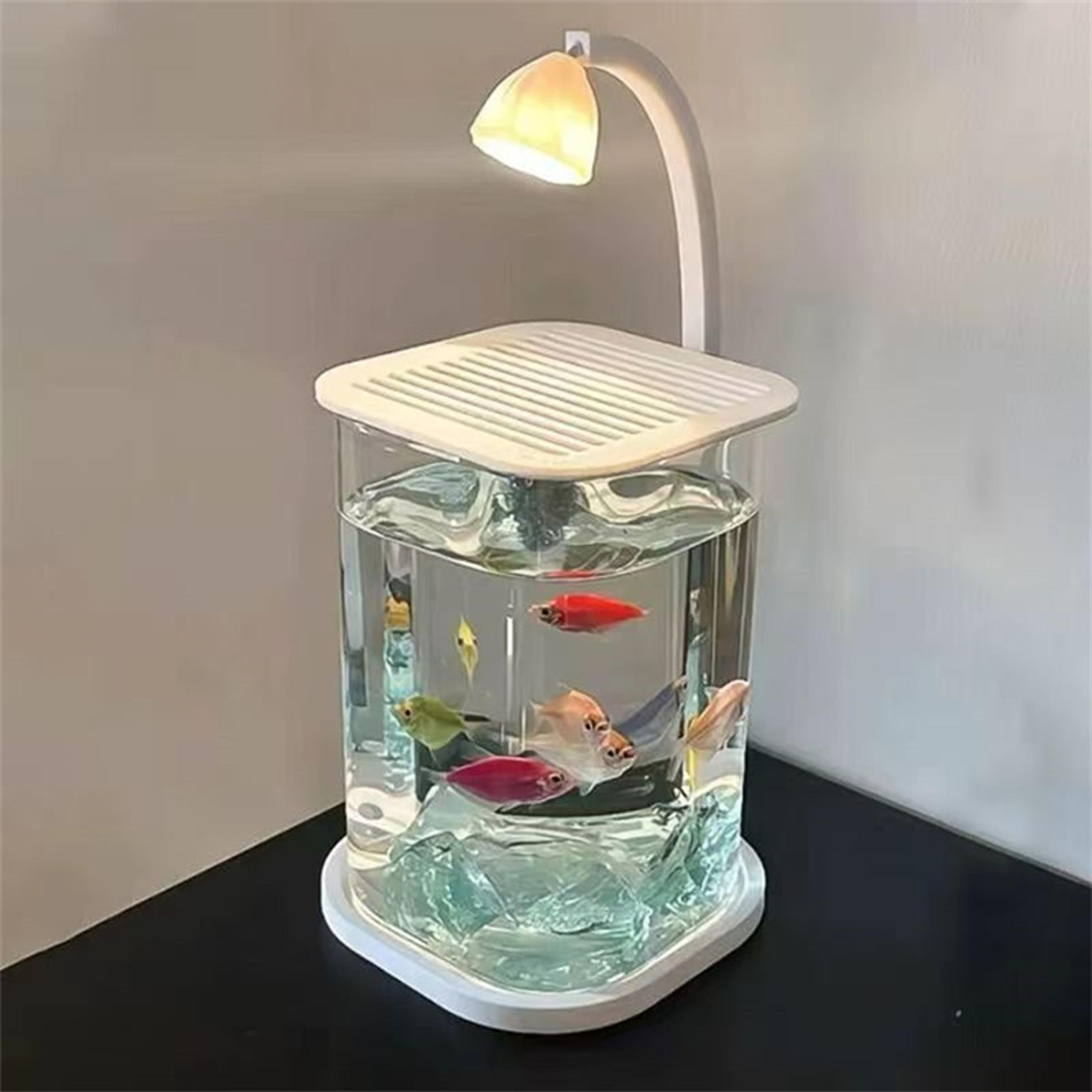 Mini Desktop Aquarium With LED Light For Betta Fish  Kids 5