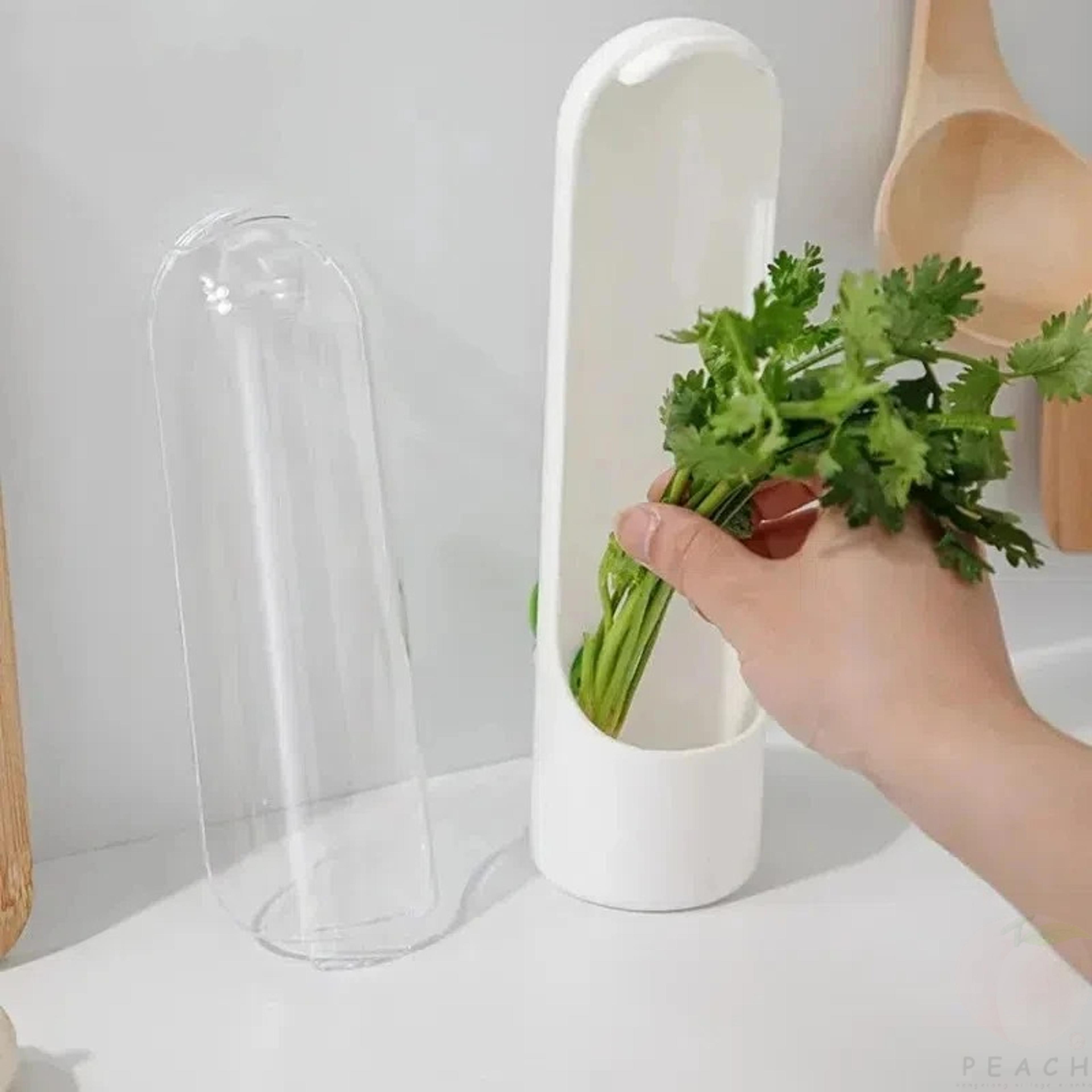 Vegetable Fresh Keeping Box Dust Proof  Eco Friendly Storage 1