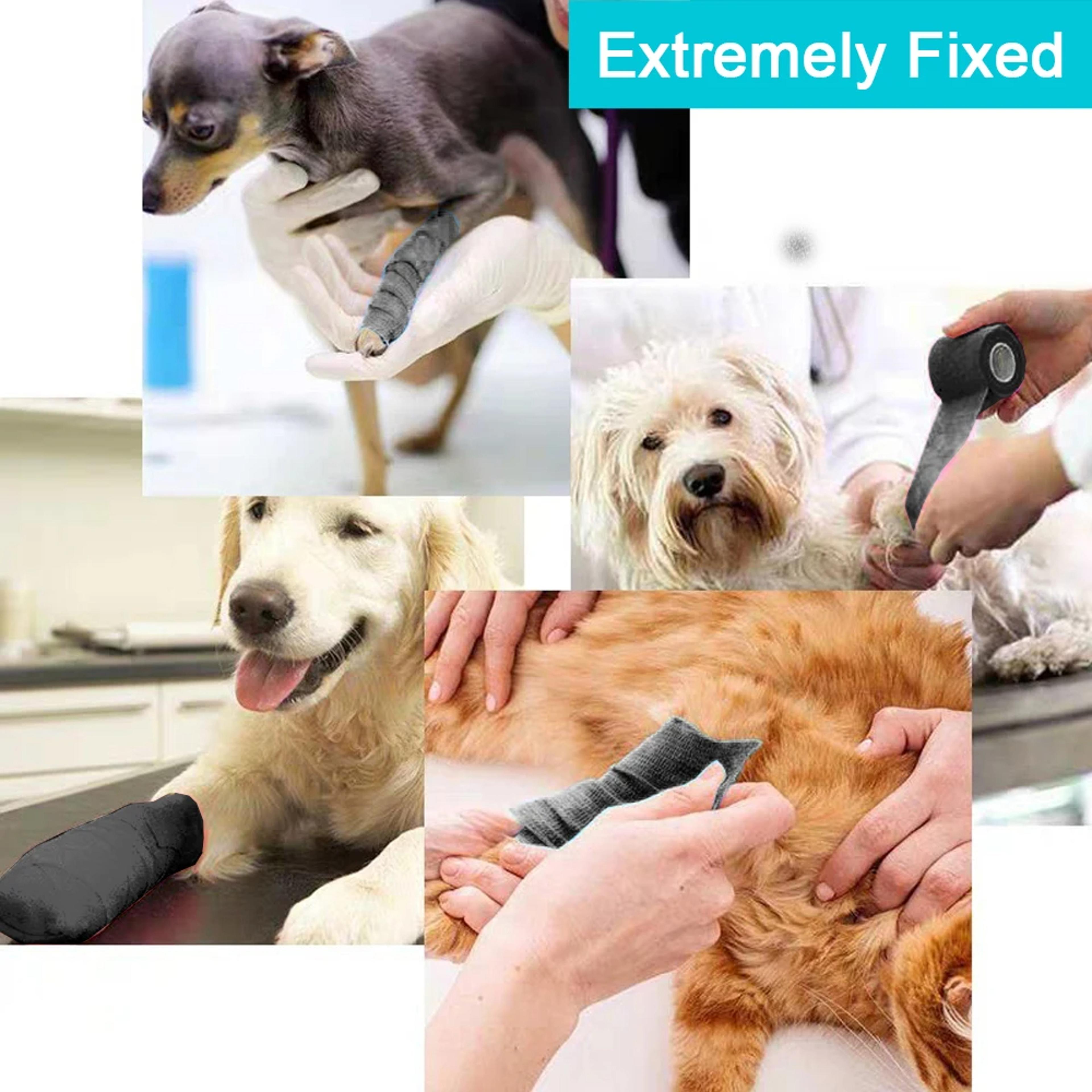 Premium Self Adhesive Athletic Tape  Elastic Bandage Set For Sports Protection 4