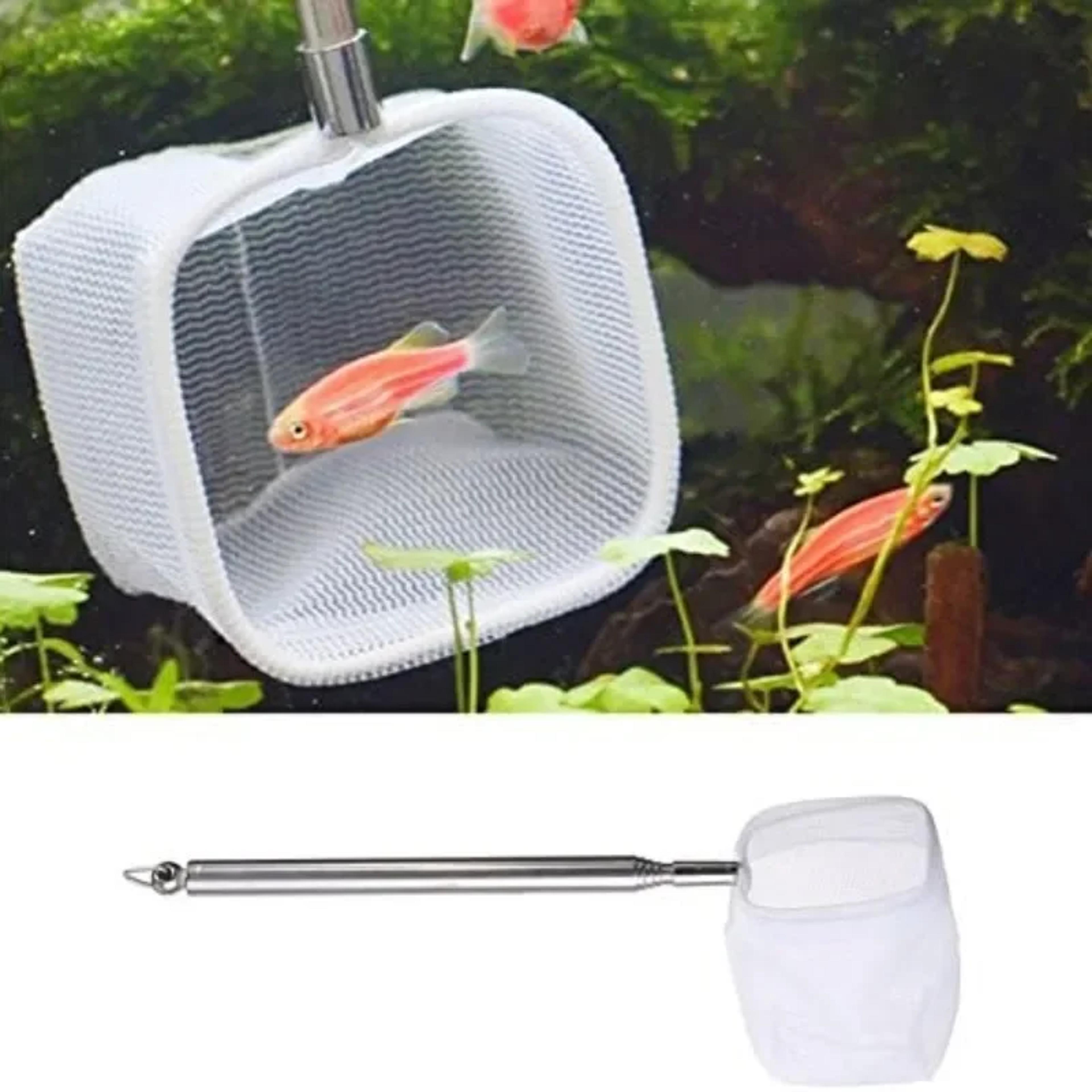 extendable telescopic fish net with stainless steel handle for aquarium and shrimp care