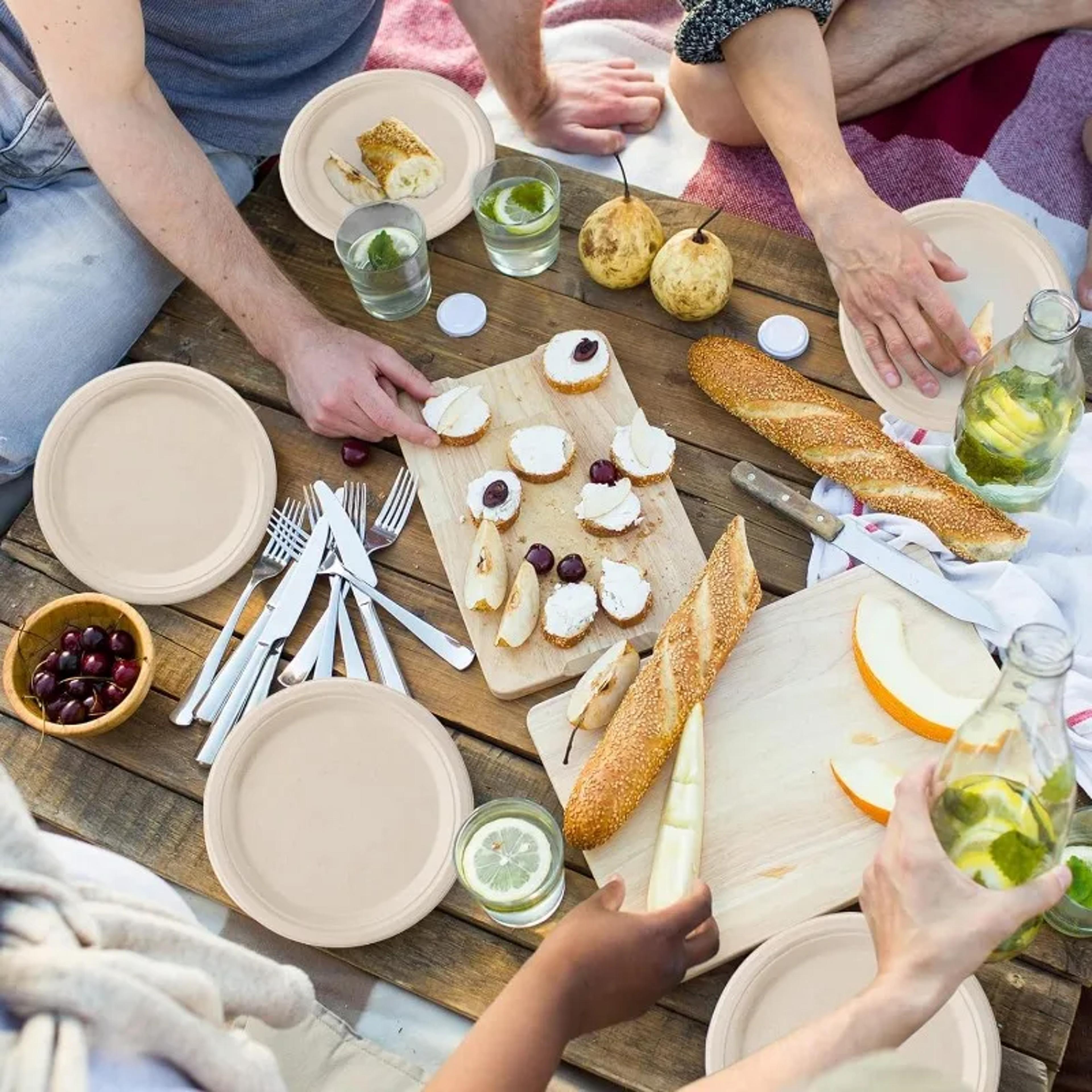 Biodegradable Paper Plates Disposable Party Plates 5