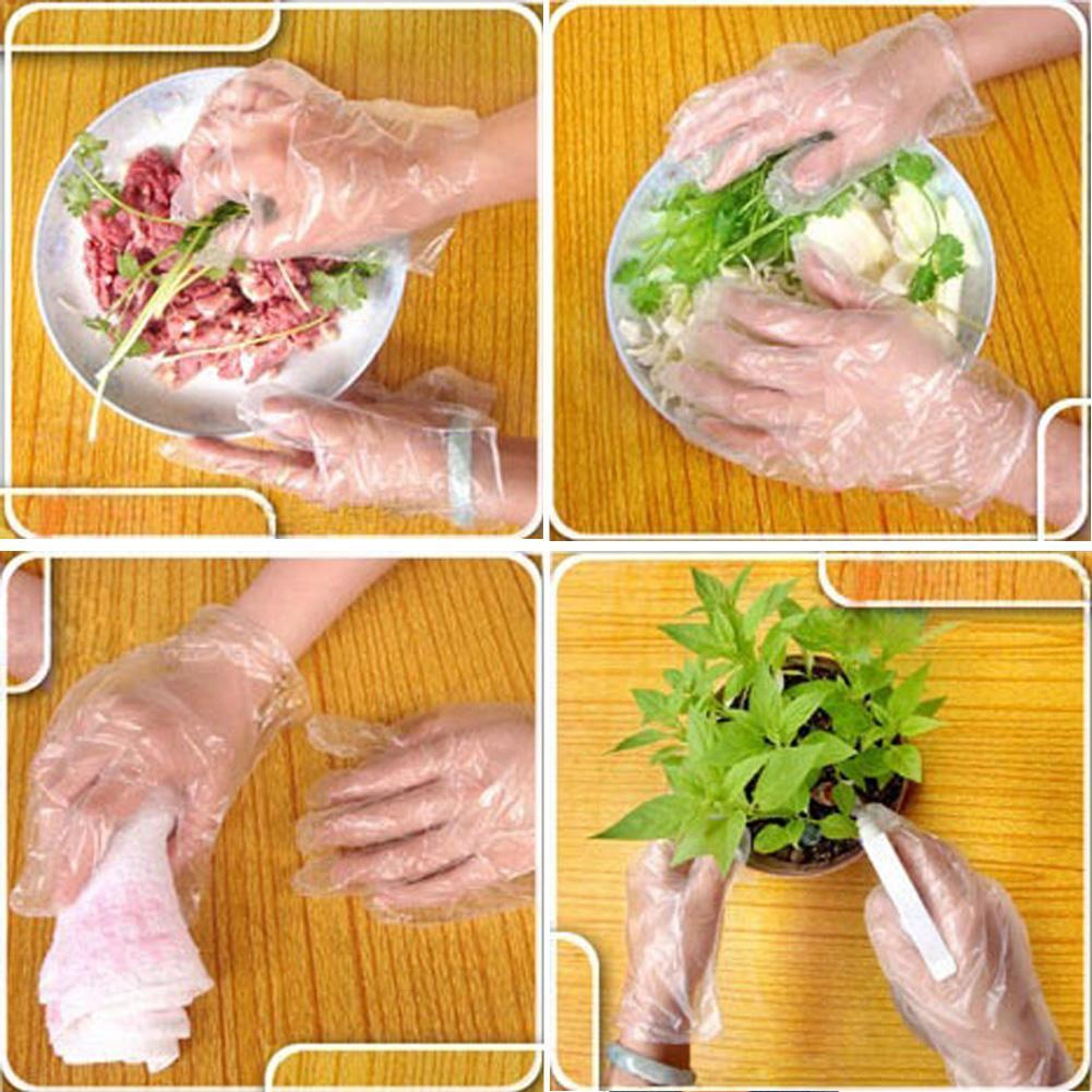 Premium Clear Plastic Food Prep Gloves Bulk Disposable Gloves Latex Free Kitchen Safety 1