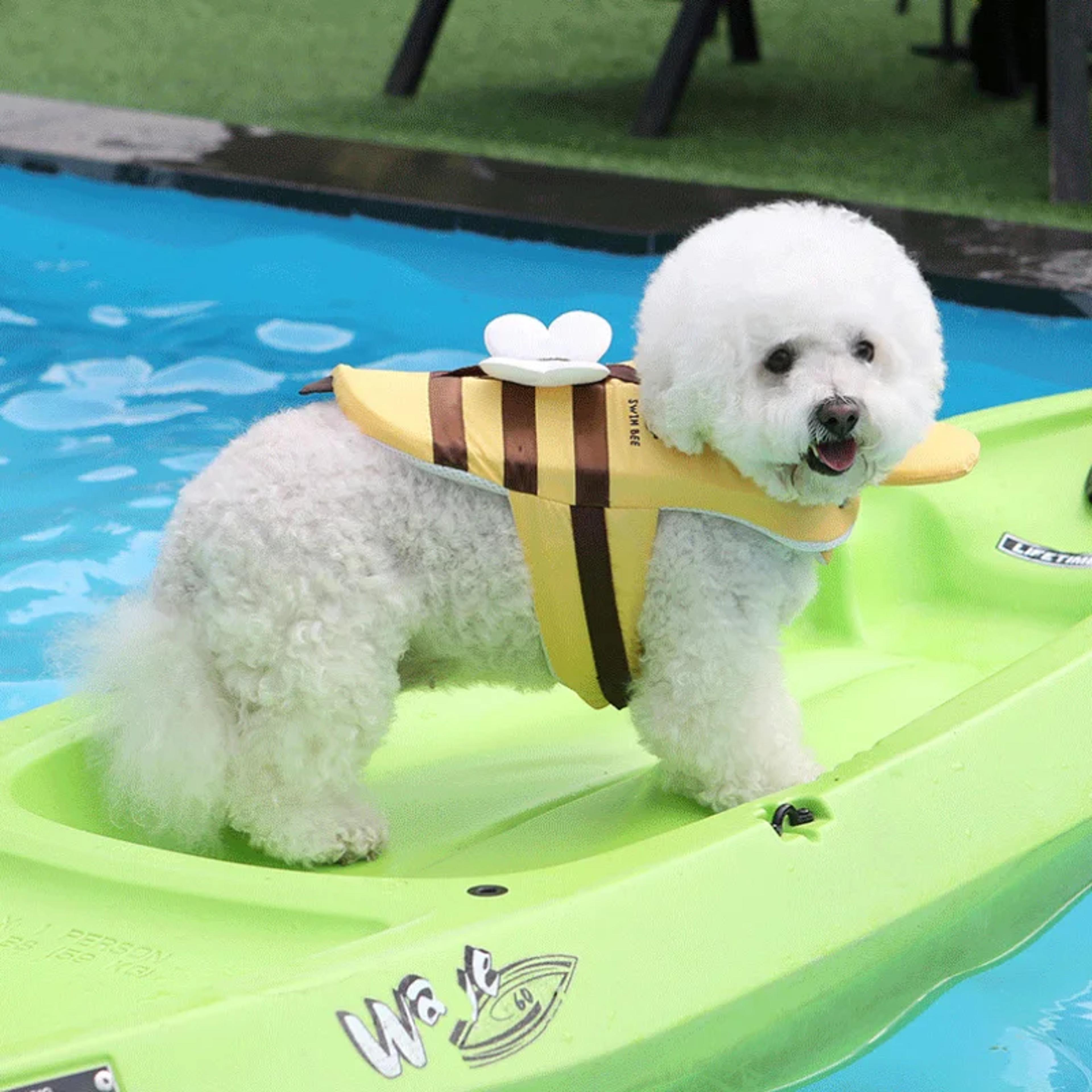 little bee dog life jacket waterproof dog swim vest with safety harness for small dogs