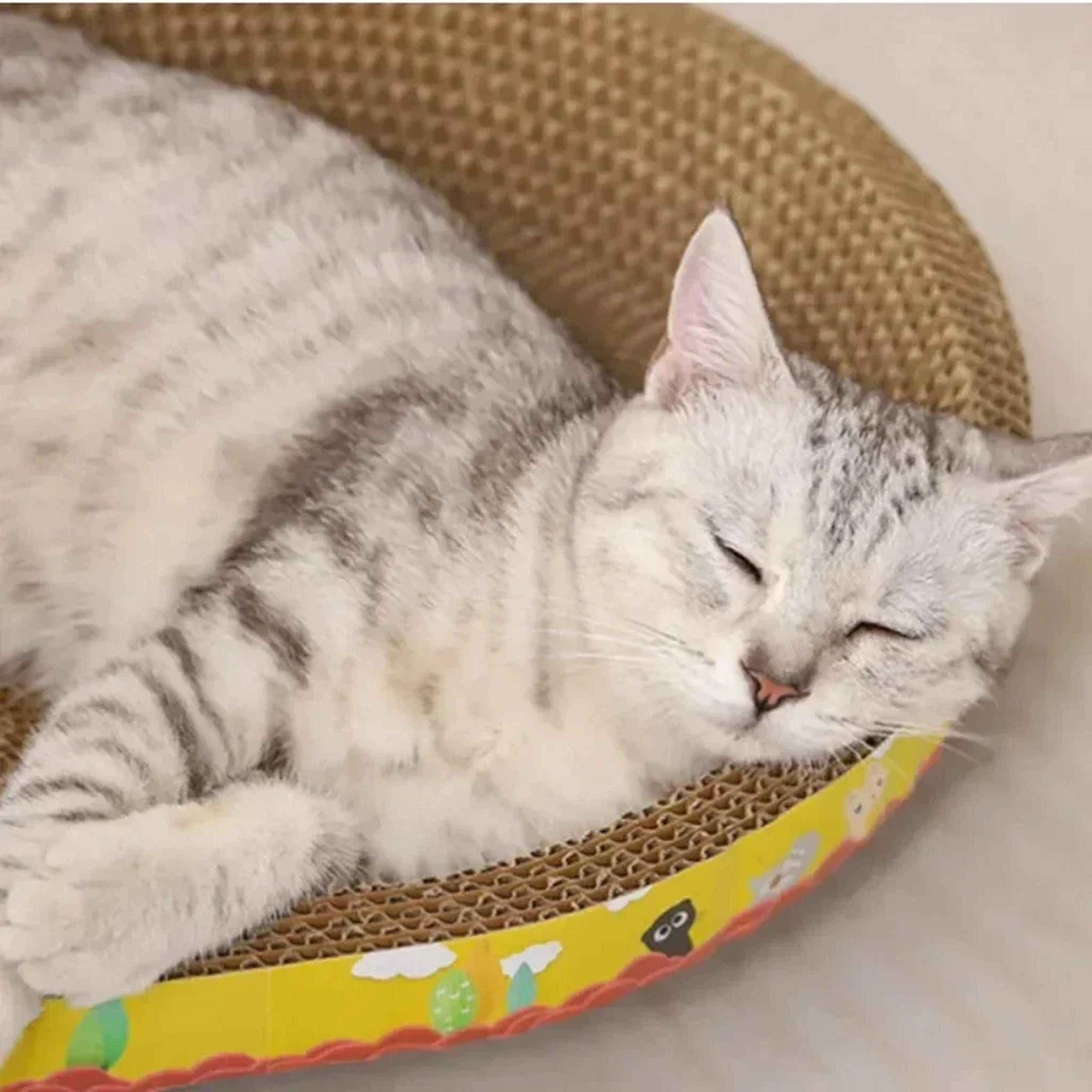 Oval Cat Scratching Board Corrugated Cat Scratcher Bed With Catnip For Furniture Protection 3