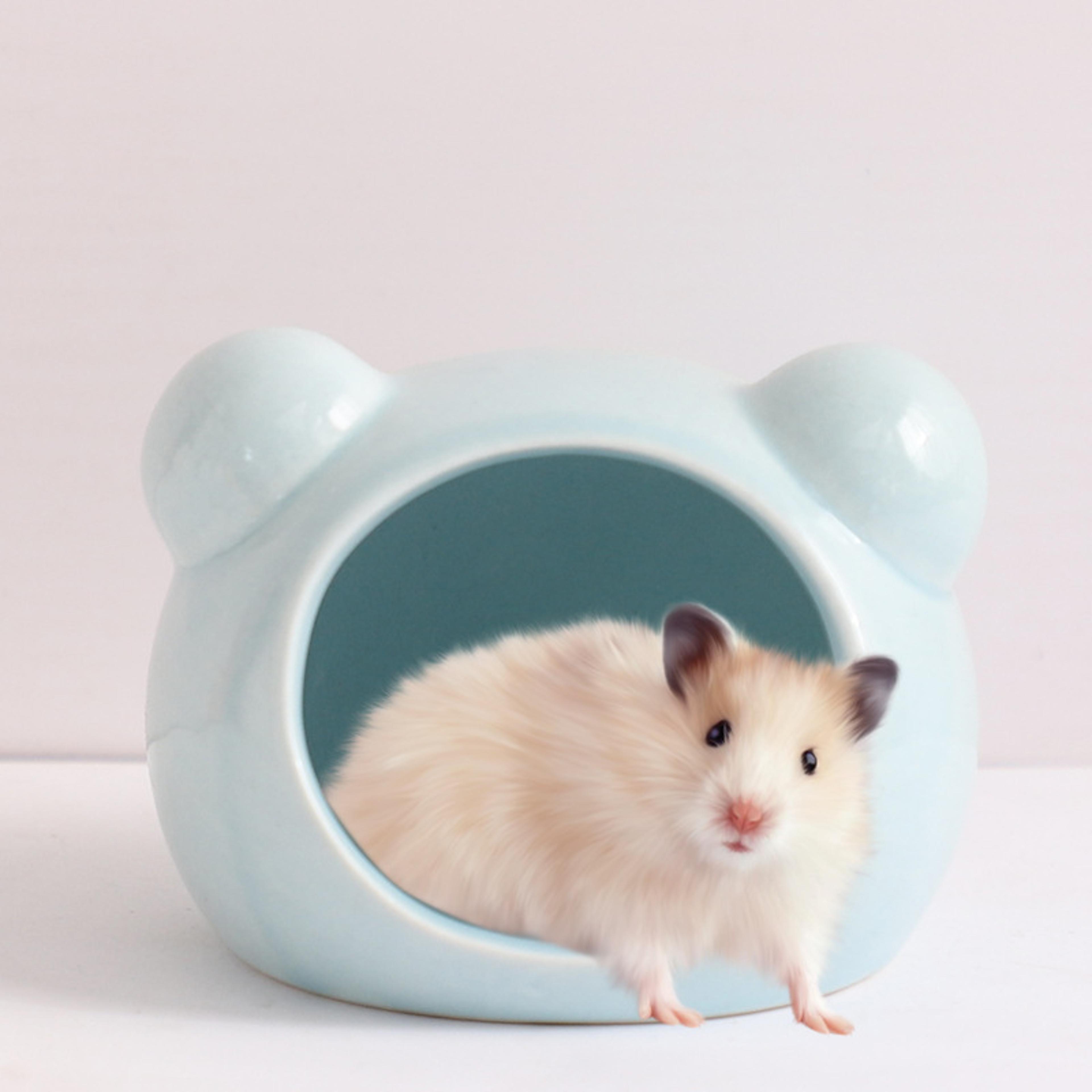 Ceramic Hamster House Cooling Hideout For Small Pets Cute Summer Hamster Nest 1