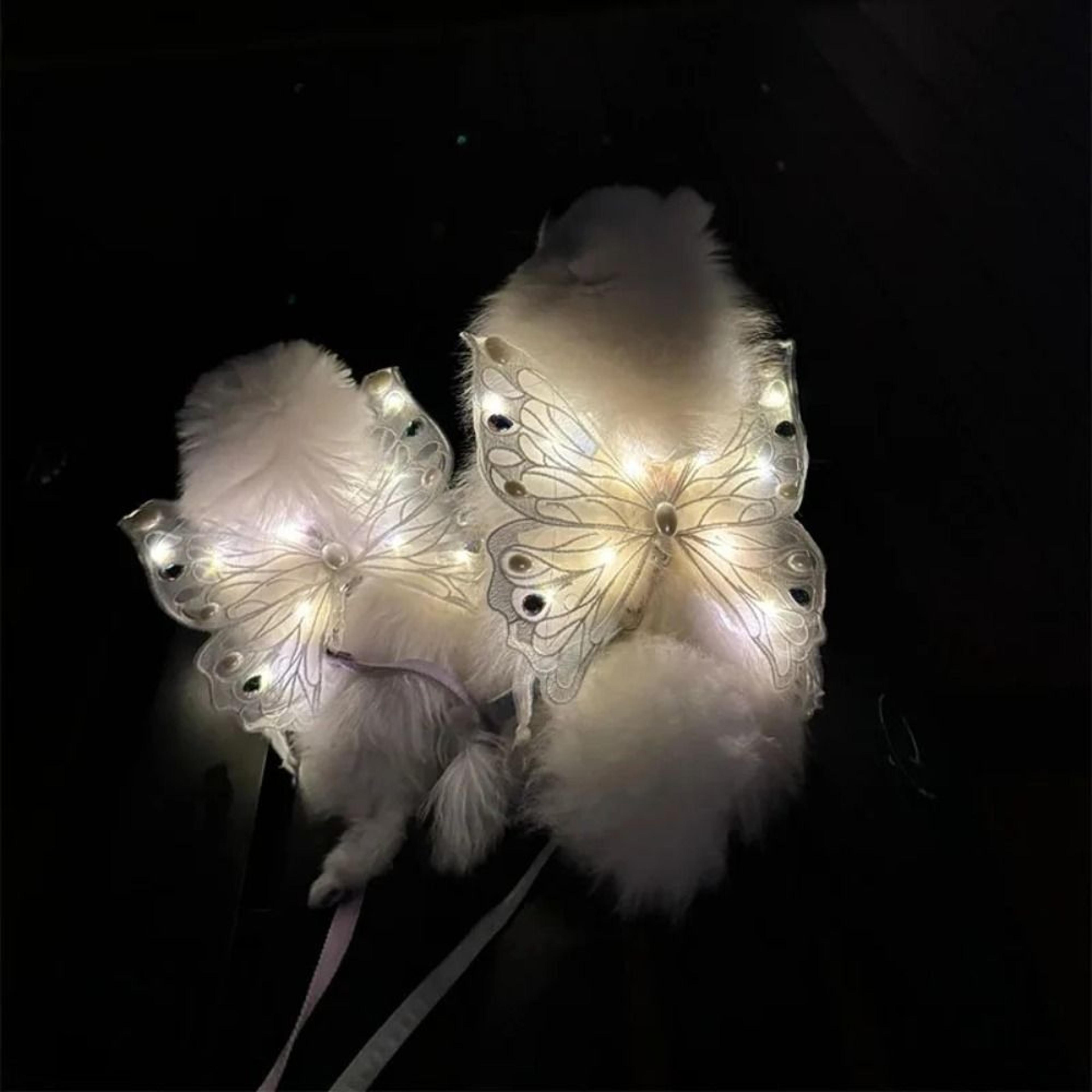 Glowing Dog Butterfly Wings Adjustable Pet Costume Wings For Small  Medium Dogs 3