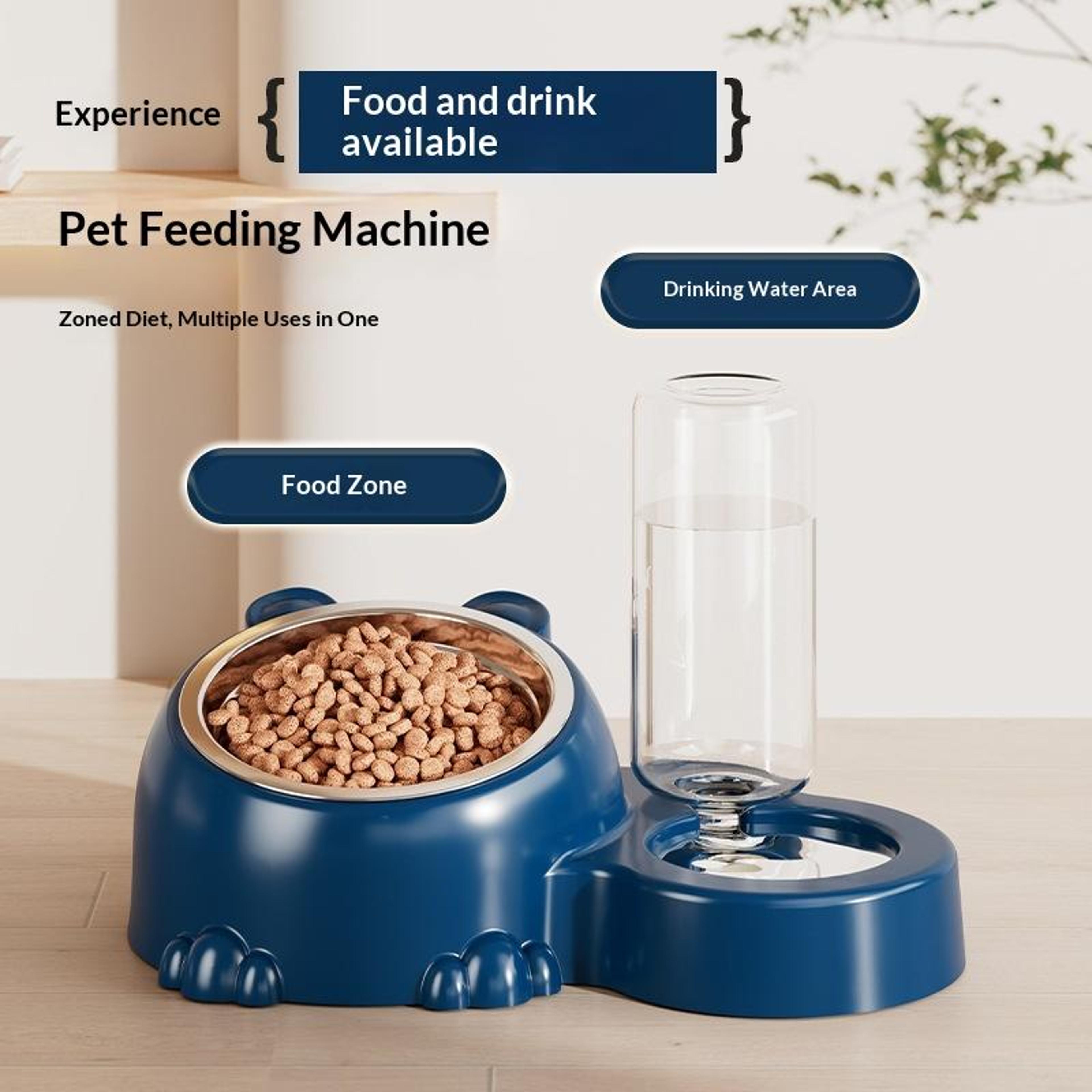Automatic Pet Water Feeder  Elevated Cat Bowl With Tilted Stainless Steel Food Dish 2