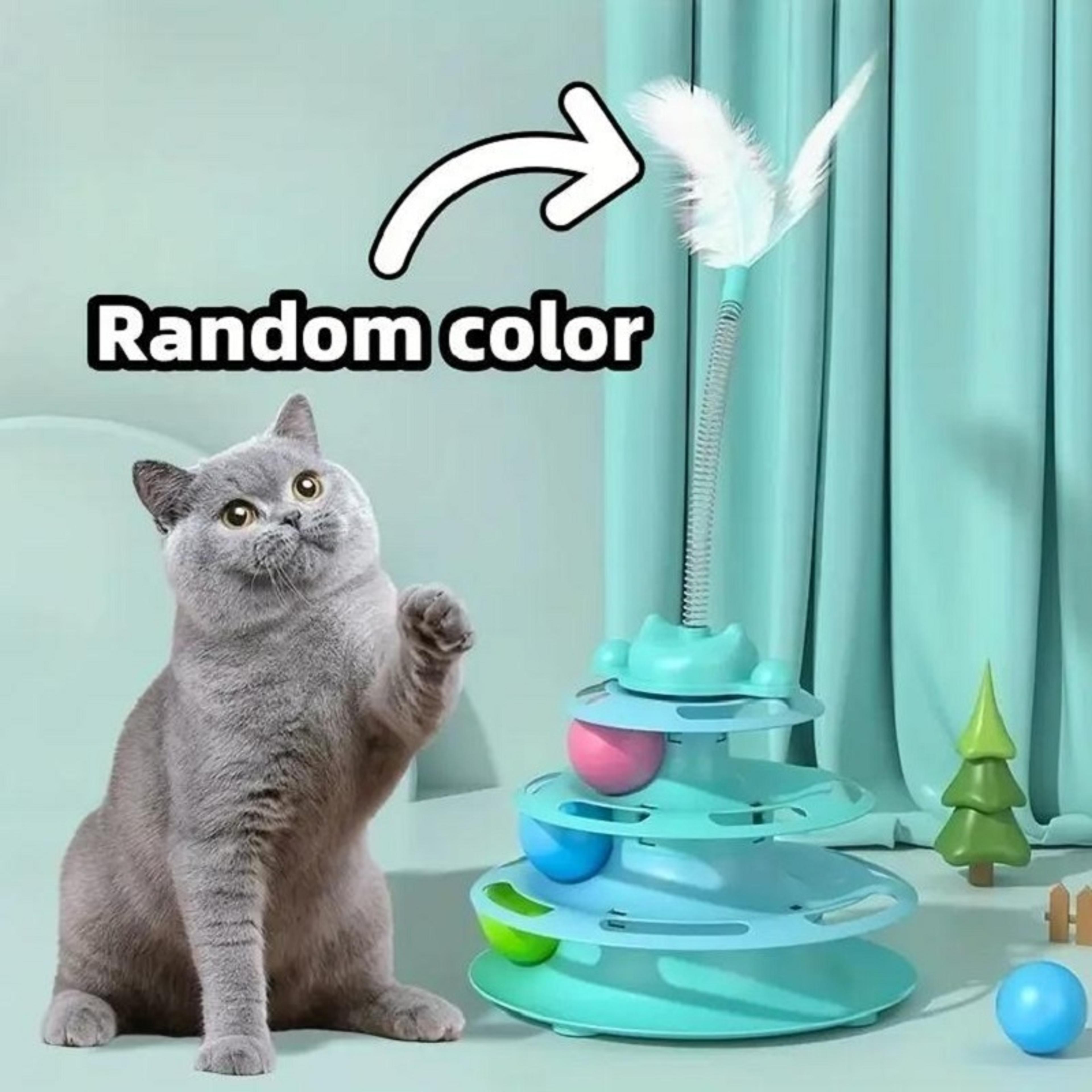 Thumbnail Image