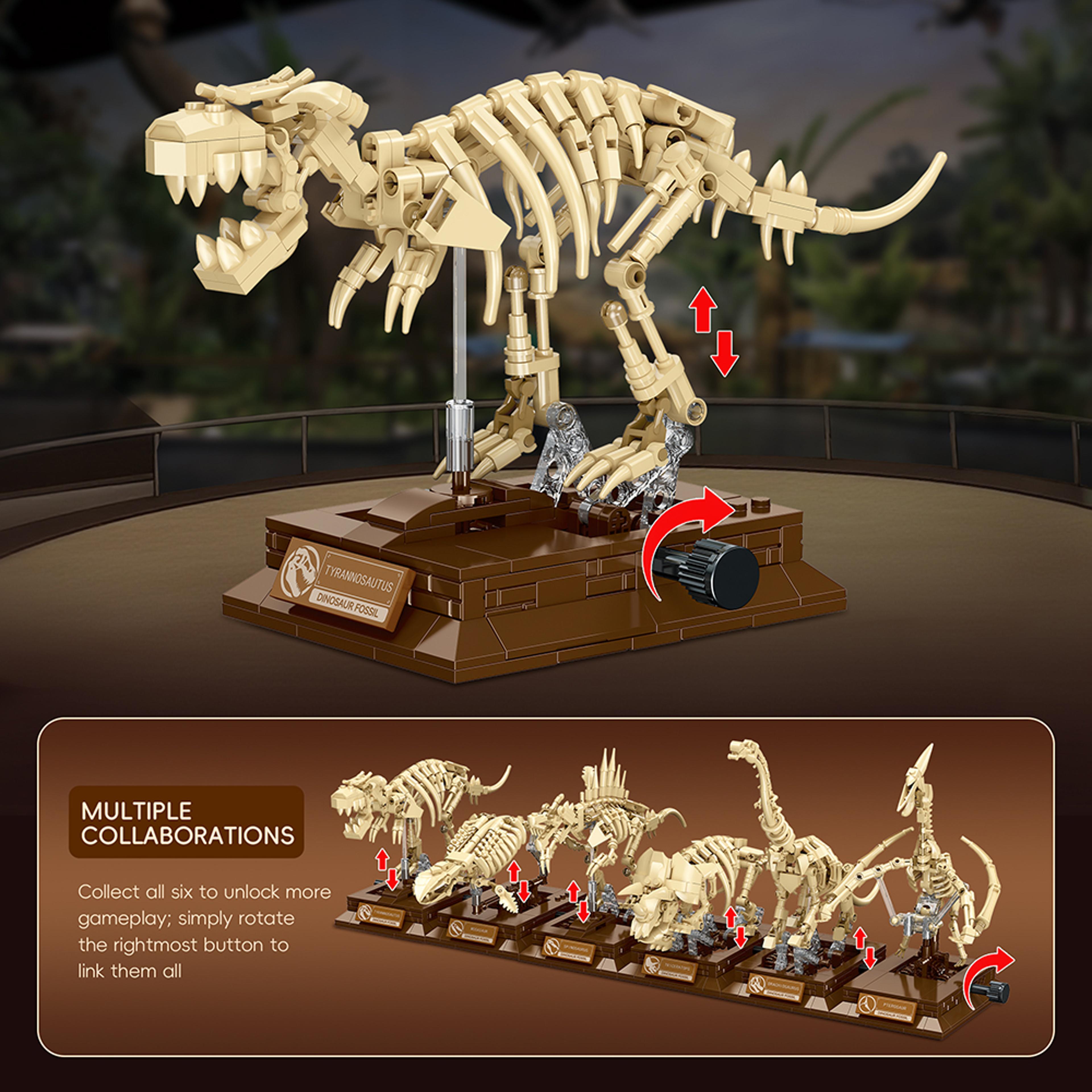 Pterosaur Fossil Building Block Model Educational STEM Construction Toy 1