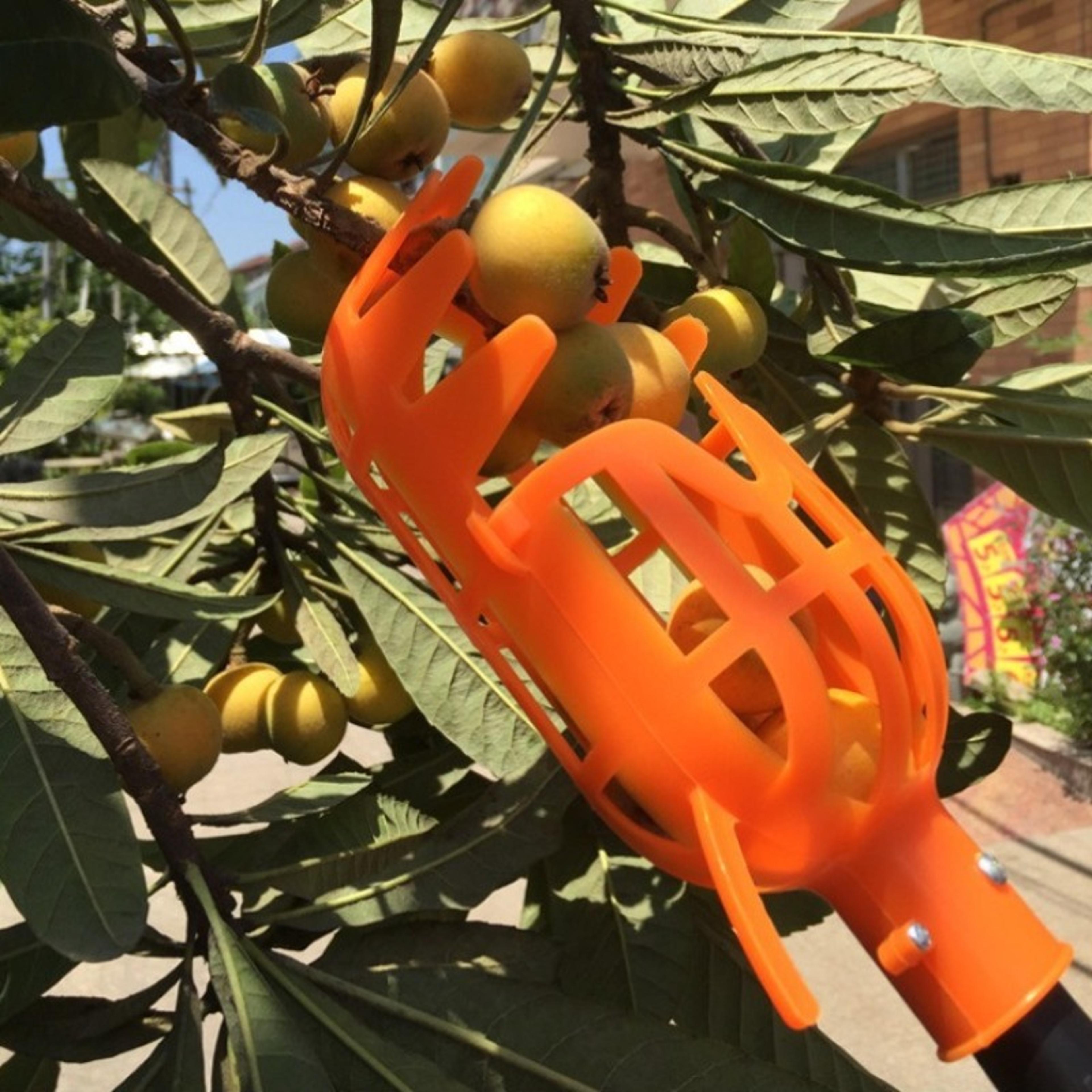 Fruit Picker Tool  Reusable Manual High Branch Fruit Harvesting Device 1