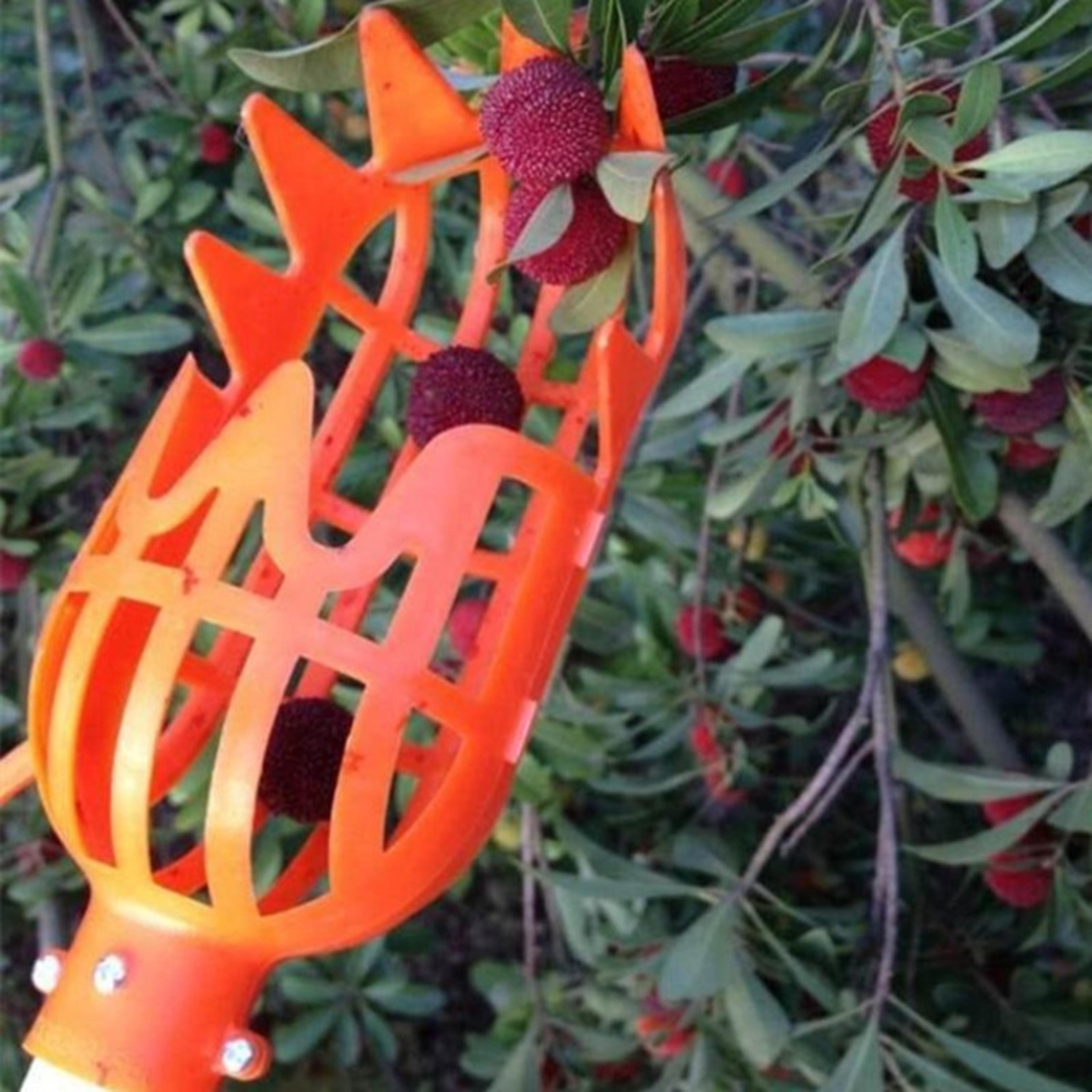 Fruit Picker Tool  Reusable Manual High Branch Fruit Harvesting Device 4
