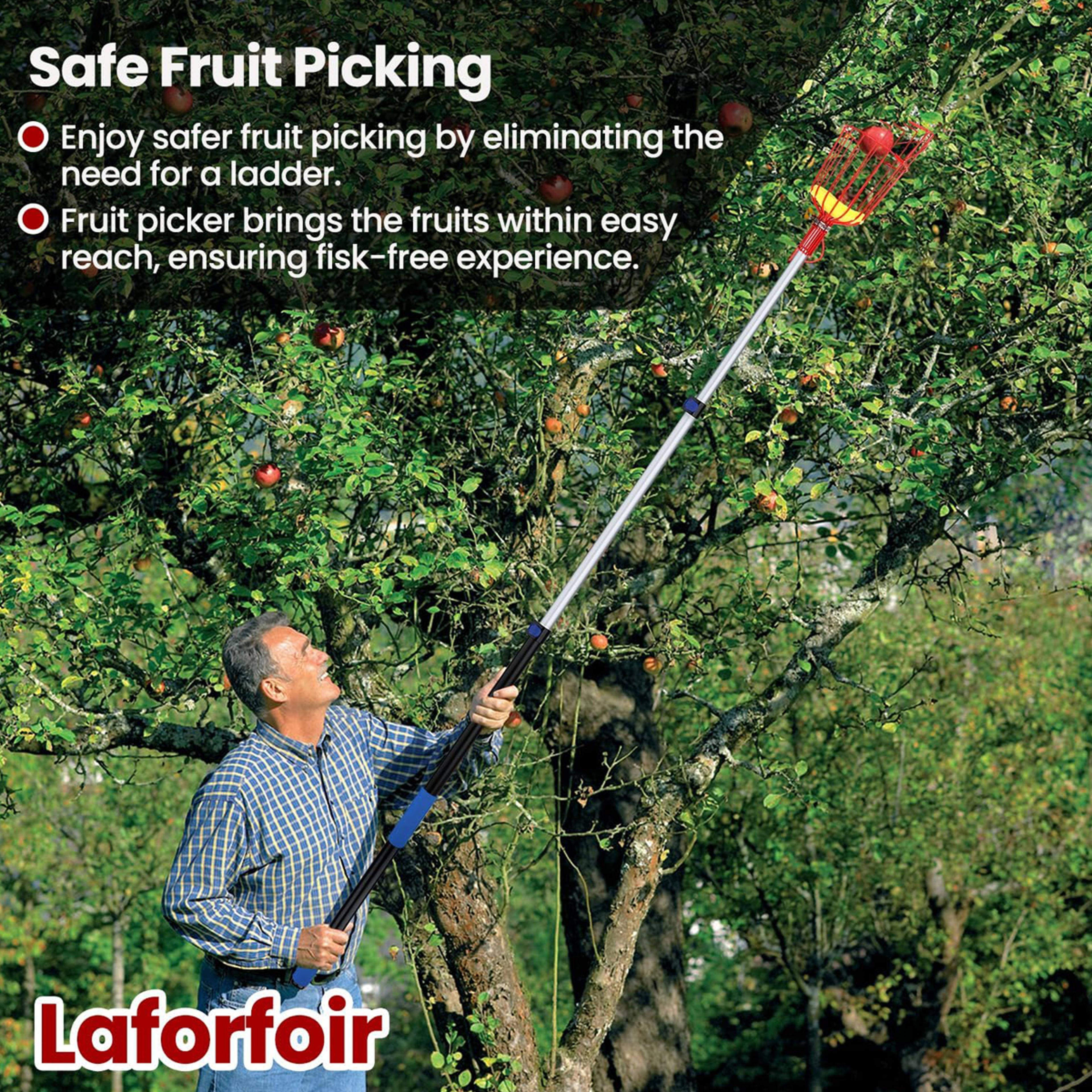 Telescopic Fruit Picker Pole With Basket  Stainless Steel Tree Fruit Picking Tool 2