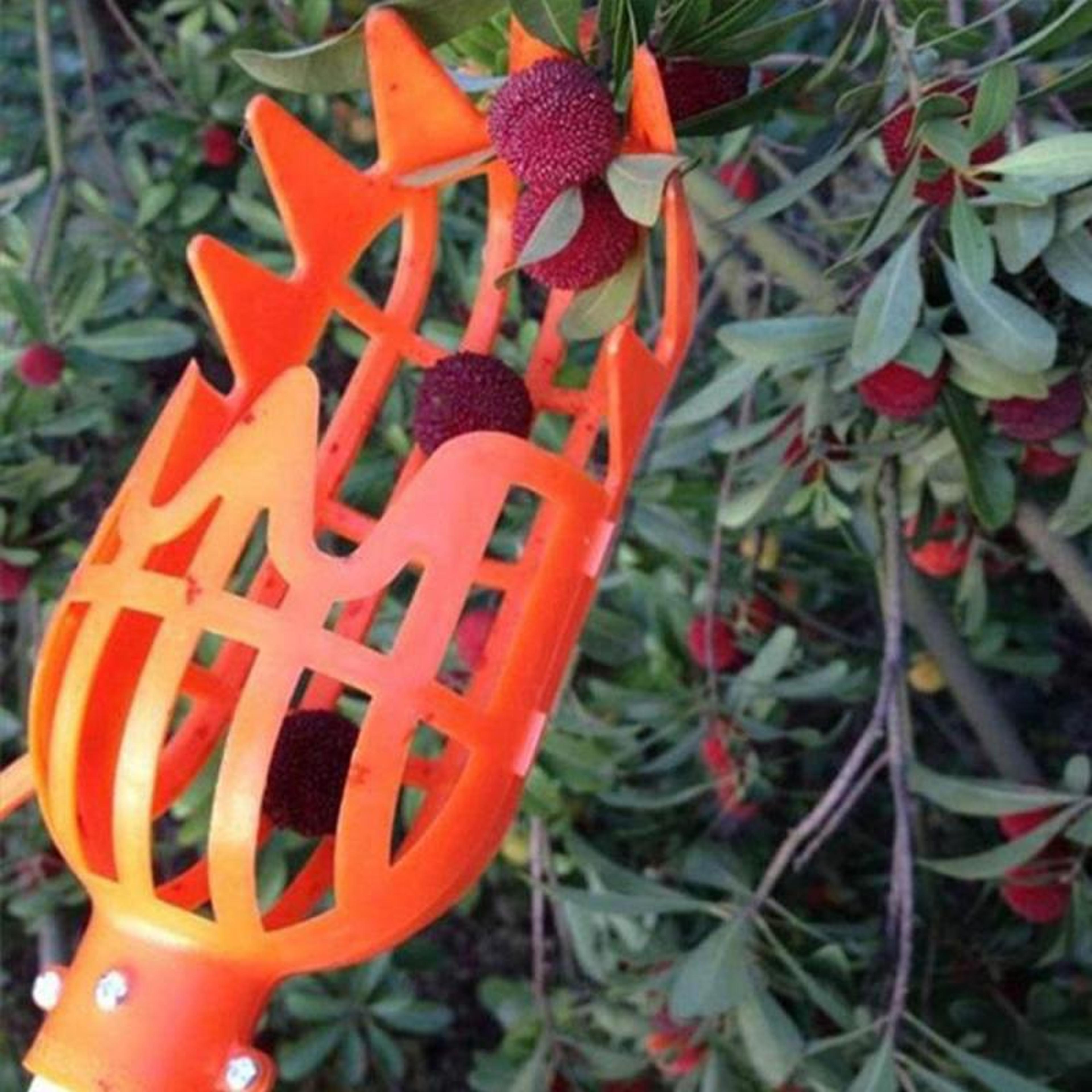 fruit picker tool – lightweight plastic handheld fruit harvester for garden picking