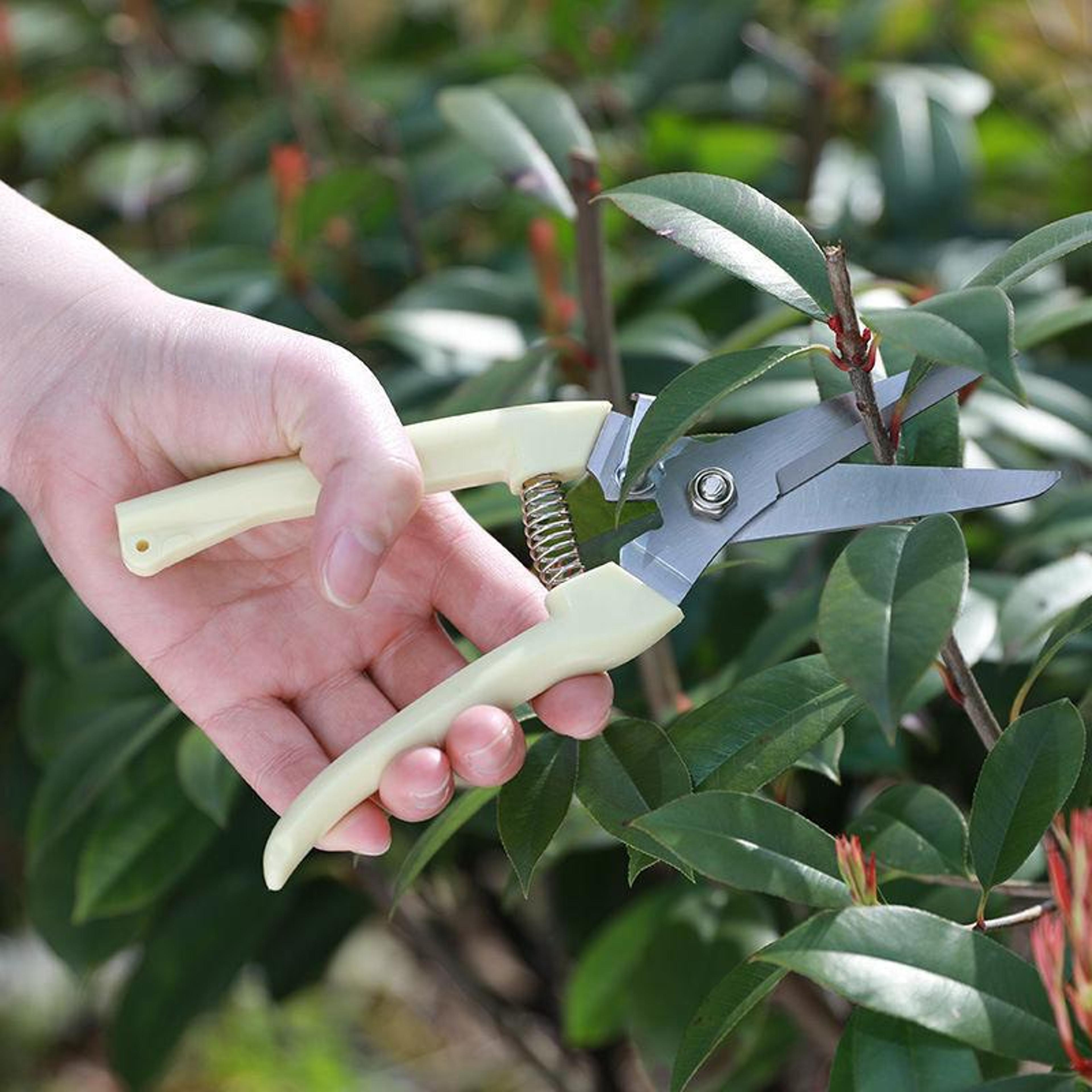 Stainless Steel Pruning Shears  AntiSlip Garden Scissors For Flowers And Branches 2
