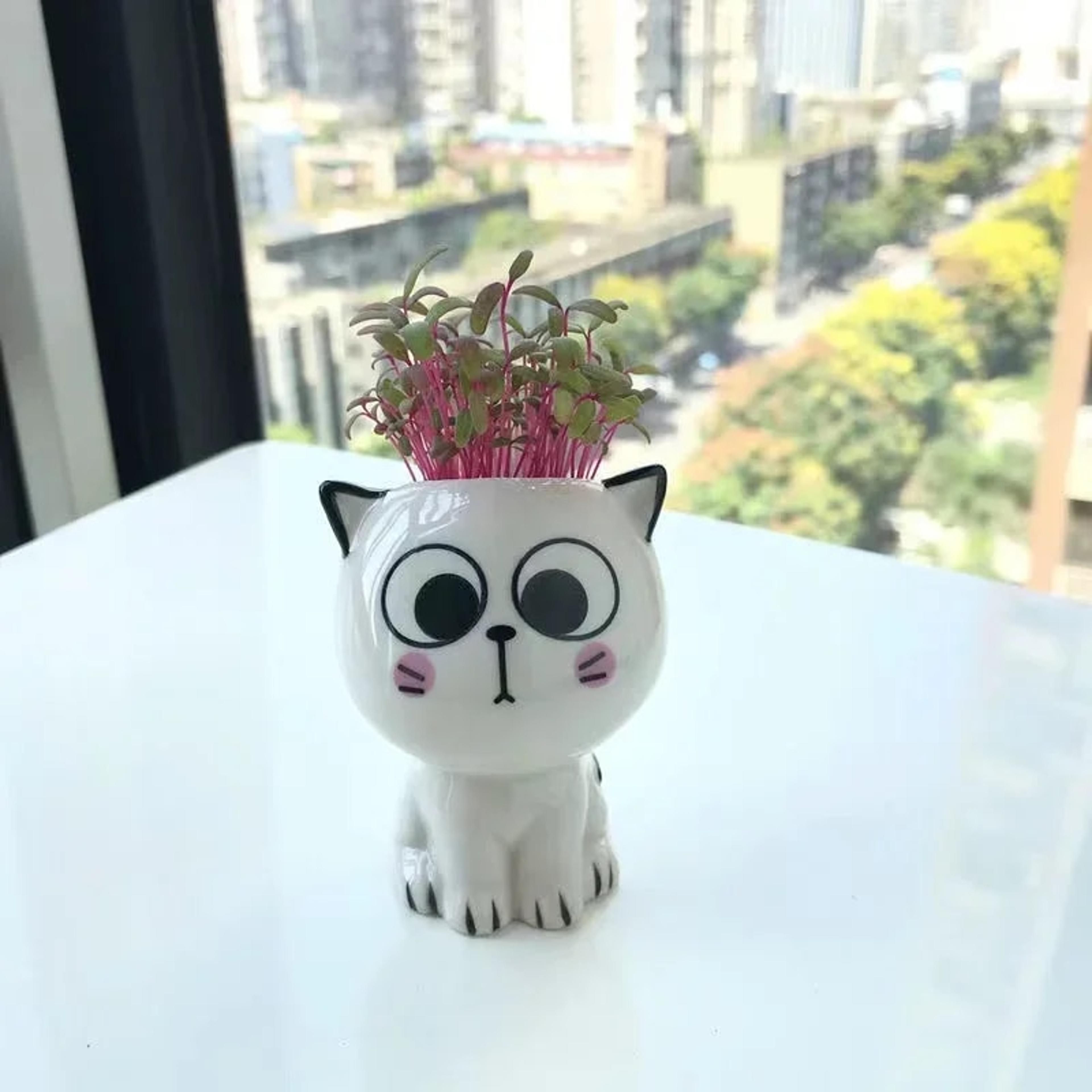 edq91pc-Ceramic-Flowerpot-Mini-Cat-Cartoon-Cute-Potted-Plant-Desktop-Cat-Plant-Pot-DIY-Desk-Decorate.jpg